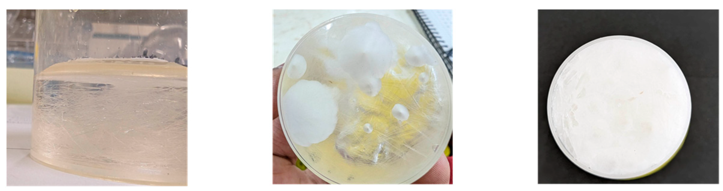 Cleantechnol 07 00111 g001