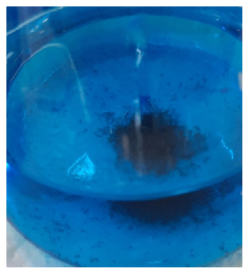 Cleantechnol 08 00156 g005 Cleantechnol 08 00156 g005