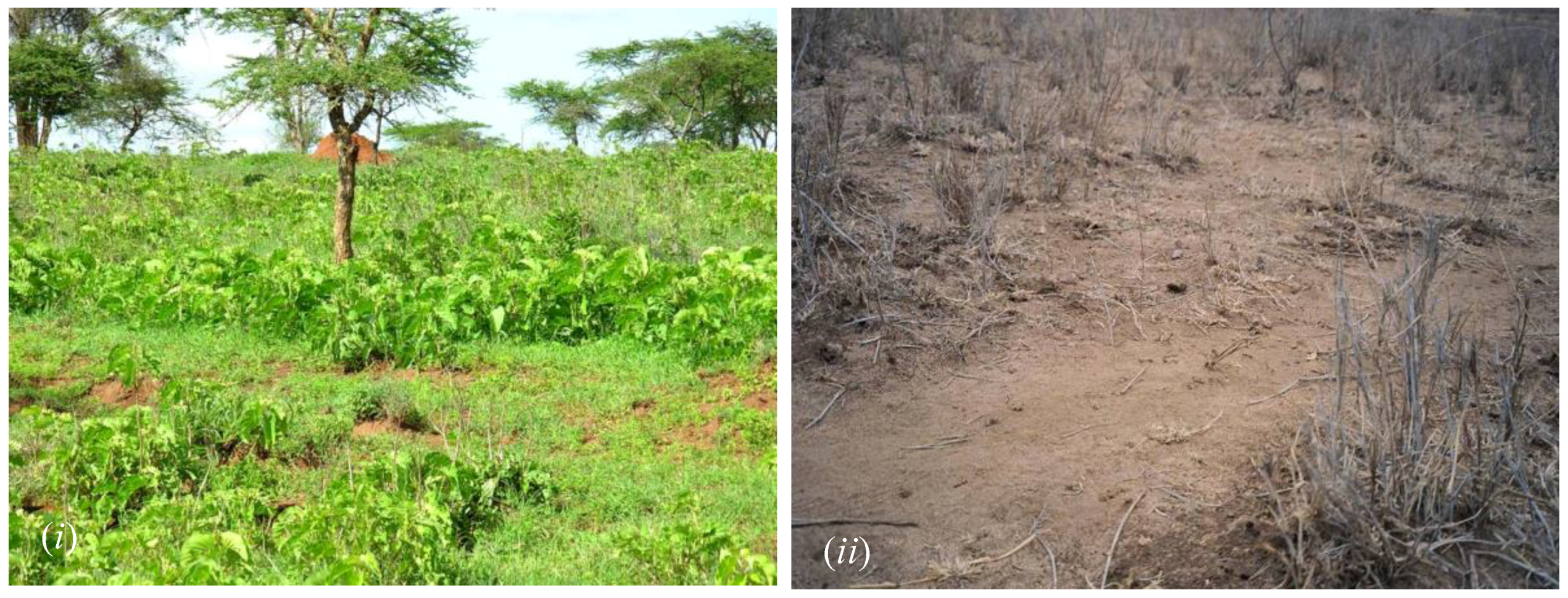 Climate 04 00022 g005 1024