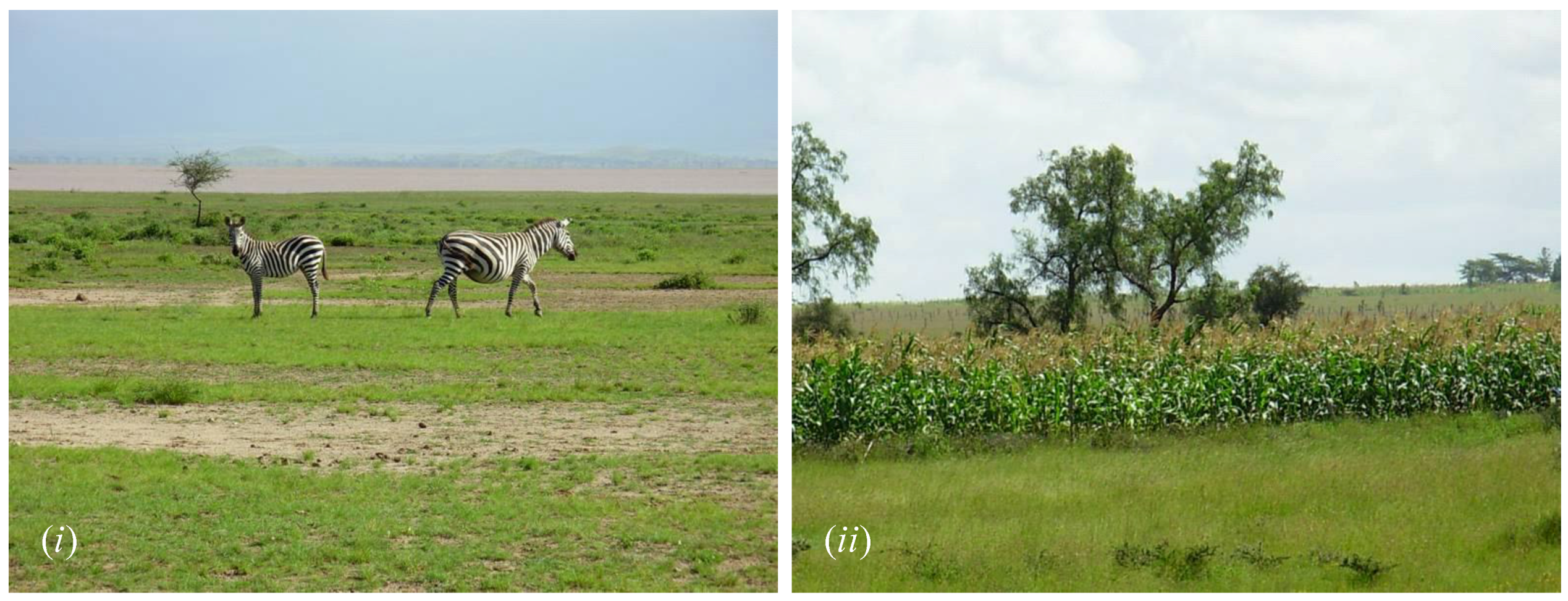 Climate 04 00022 g006 1024