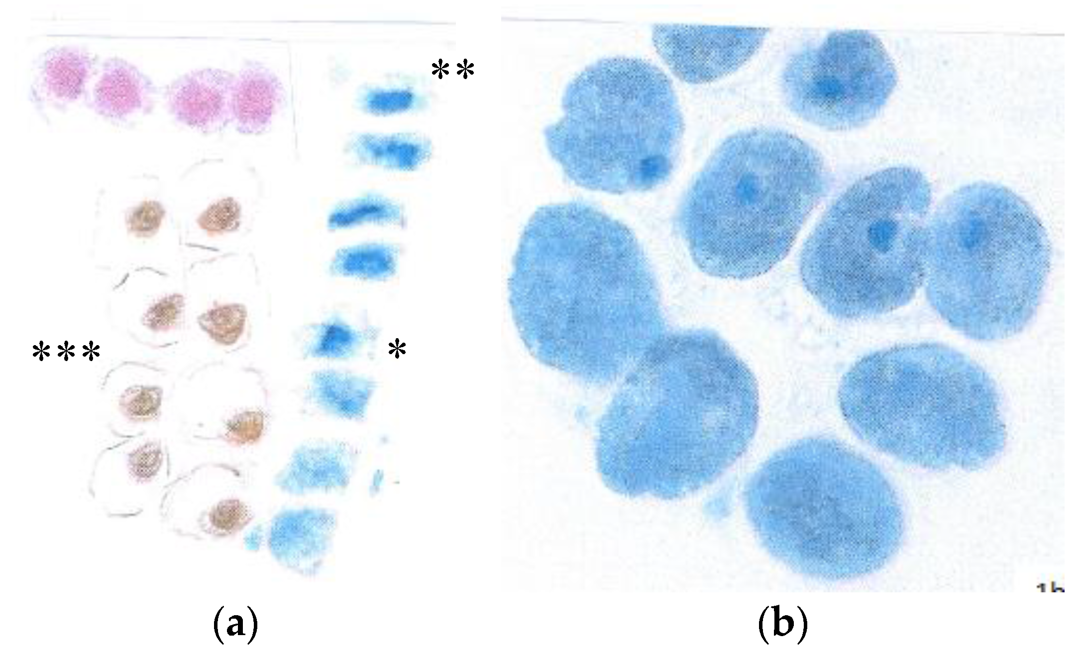 Climate 04 00035 g001