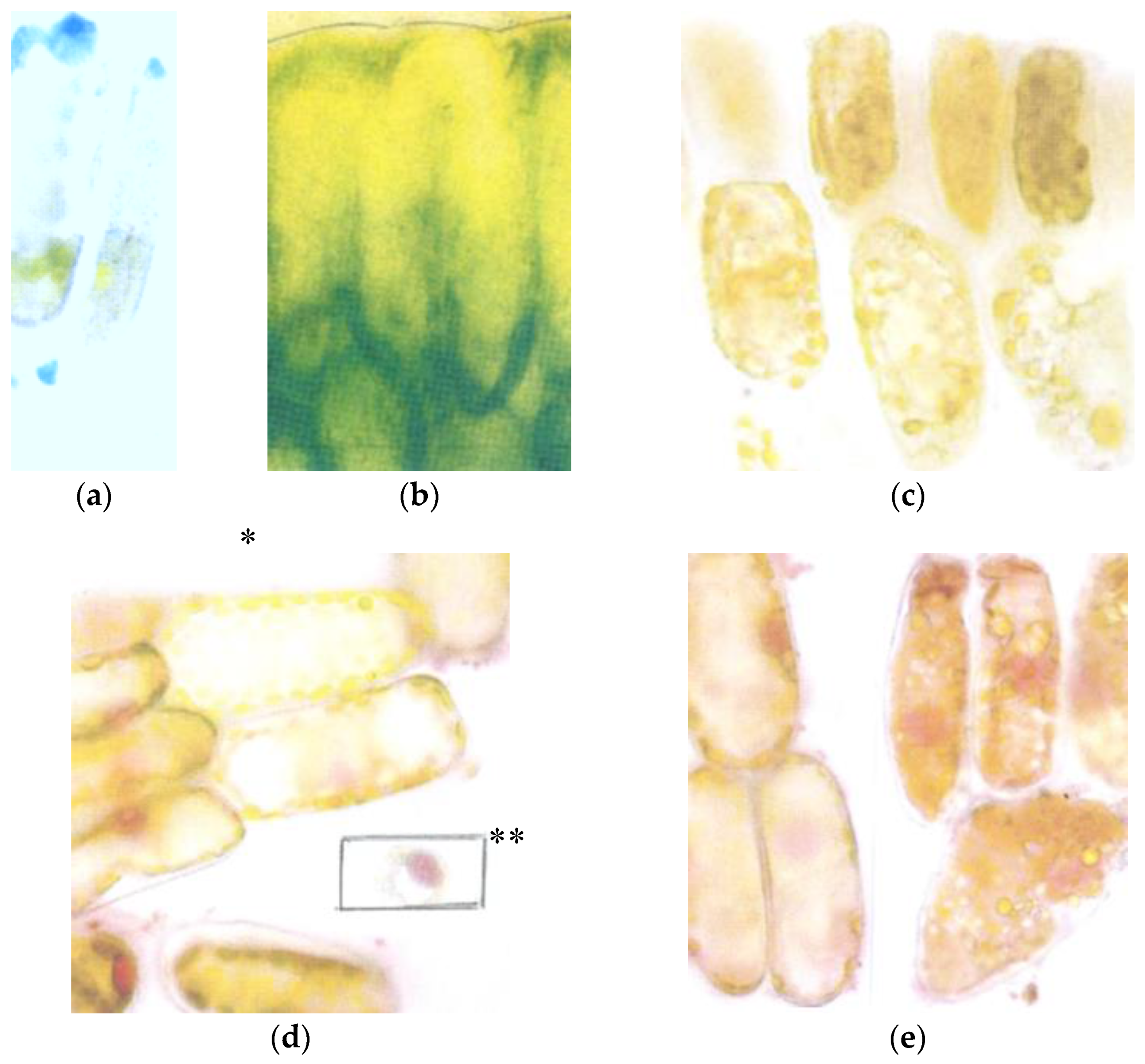 Climate 04 00035 g006a