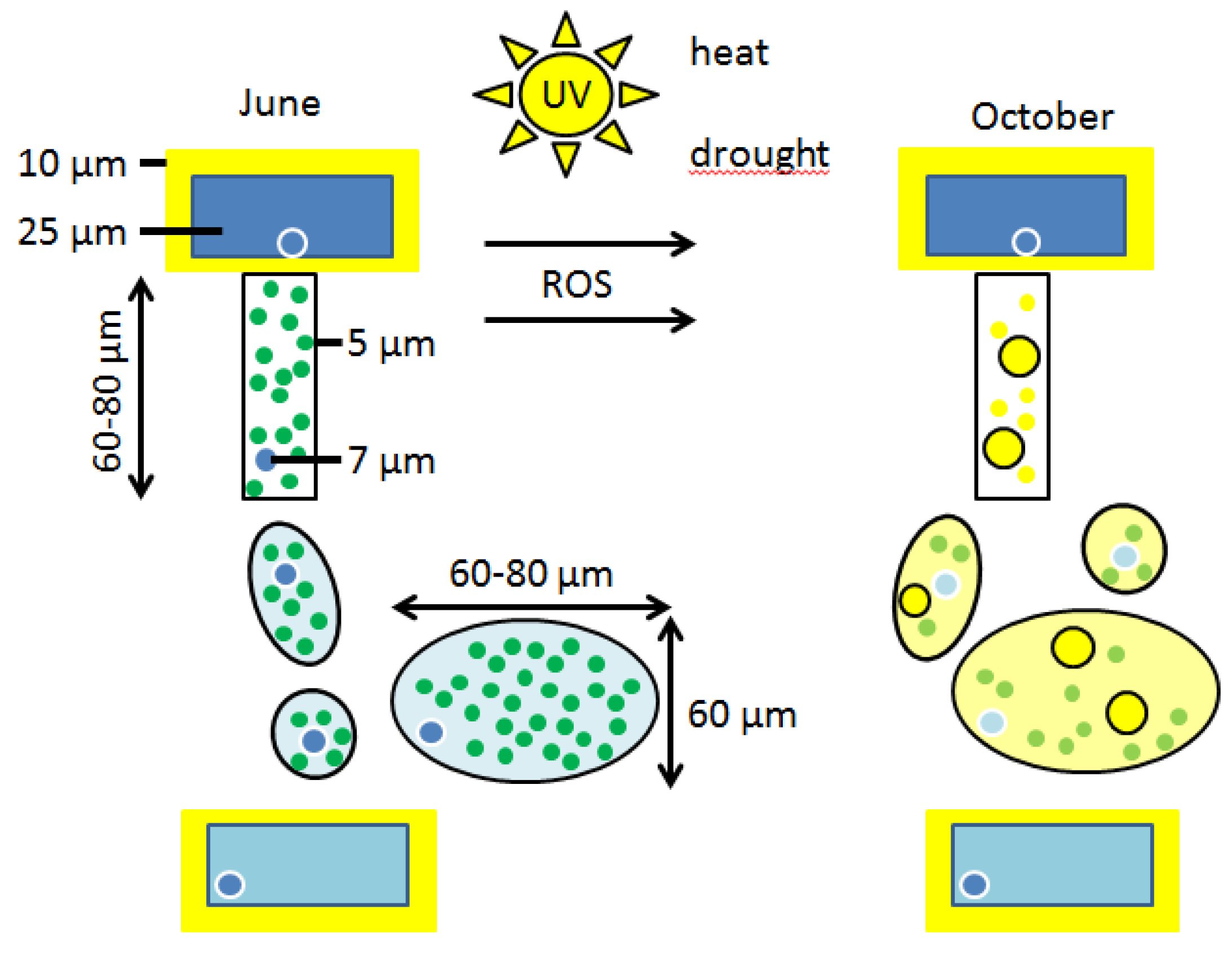 Climate 04 00035 g009