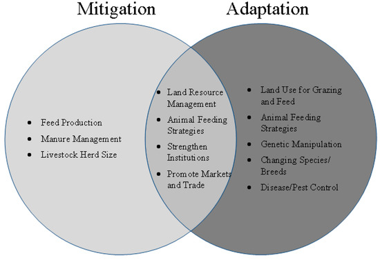 Options strategy - Wikipedia