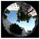 Climate 06 00005 i012 Climate 06 00005 i012