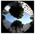 Climate 06 00005 i014 Climate 06 00005 i014