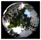 Climate 06 00005 i022 Climate 06 00005 i022