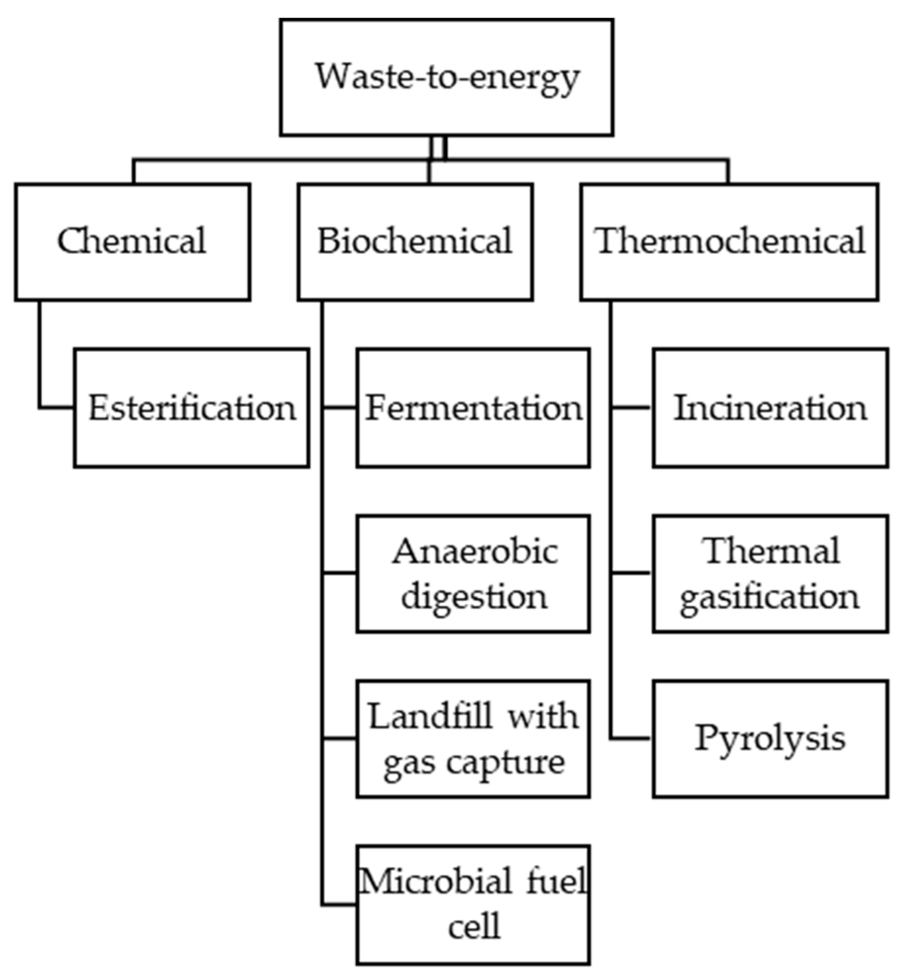 Climate 07 00100 g001
