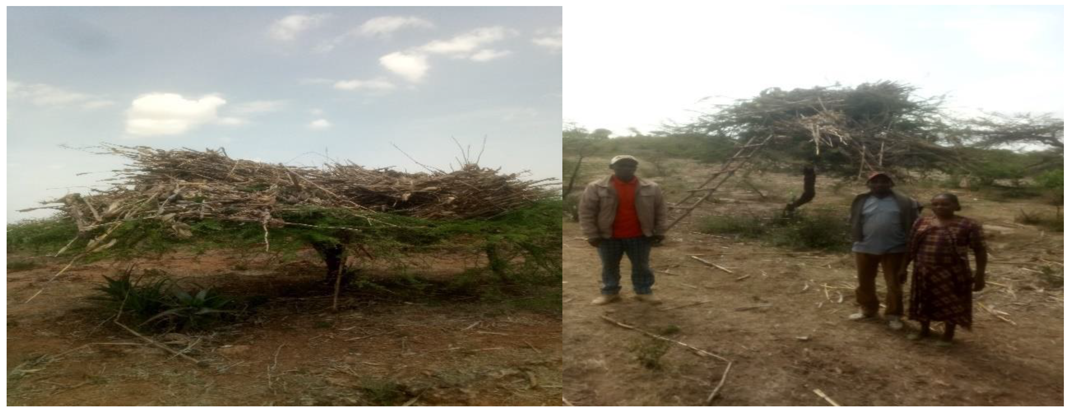 Climate 08 00149 g006 Climate 08 00149 g006