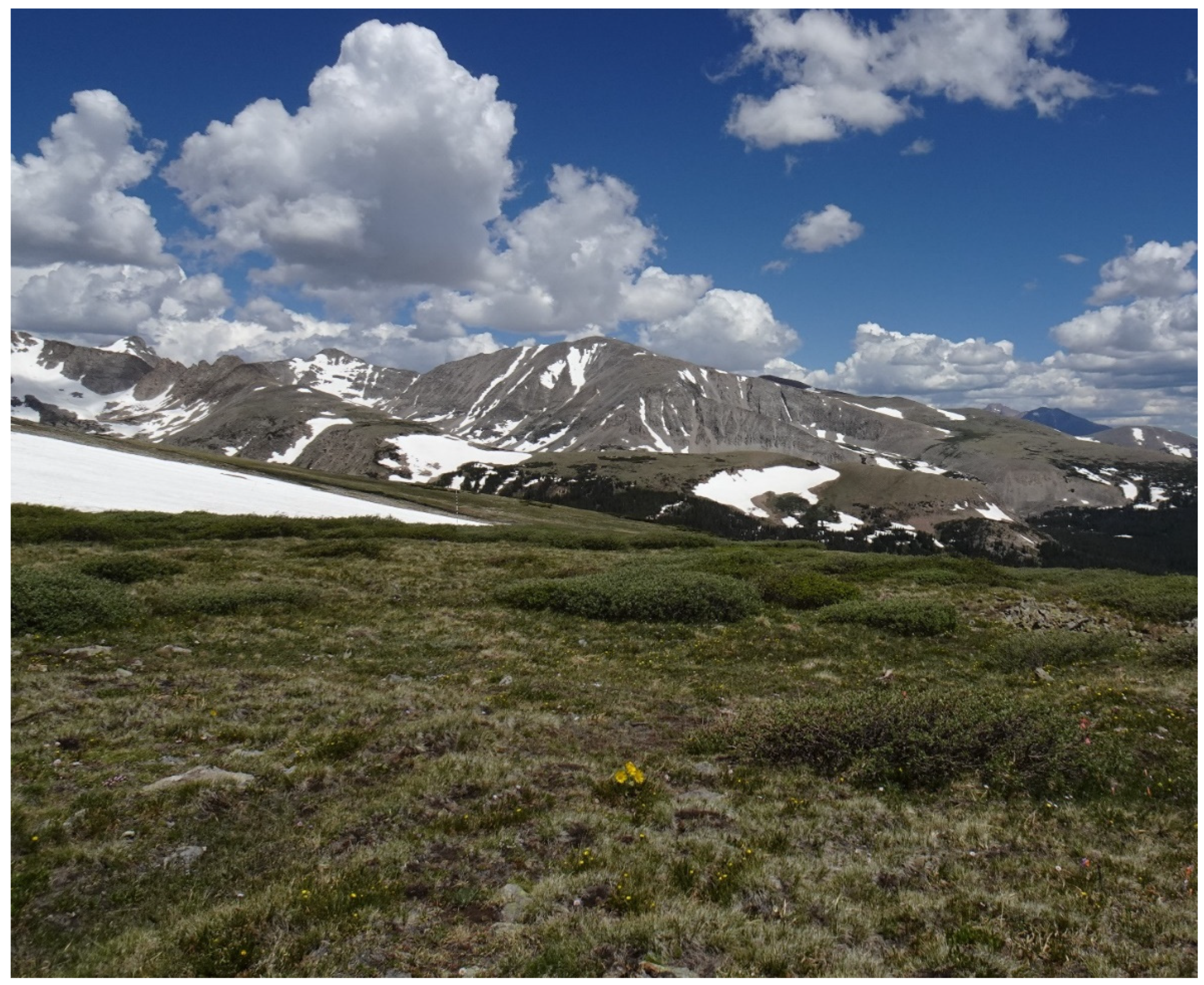 Climate 09 00087 g001