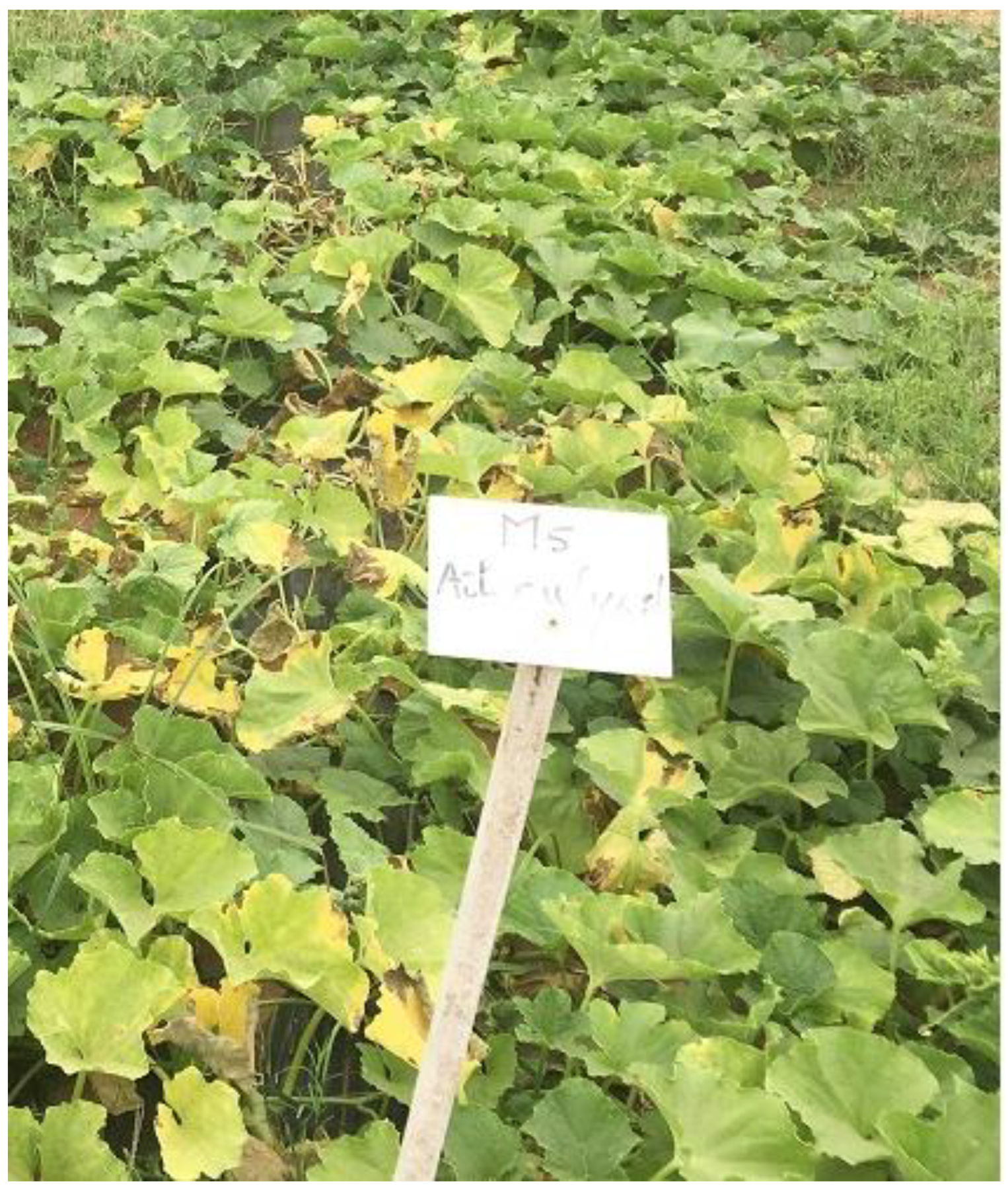 Climate 09 00129 g001 550