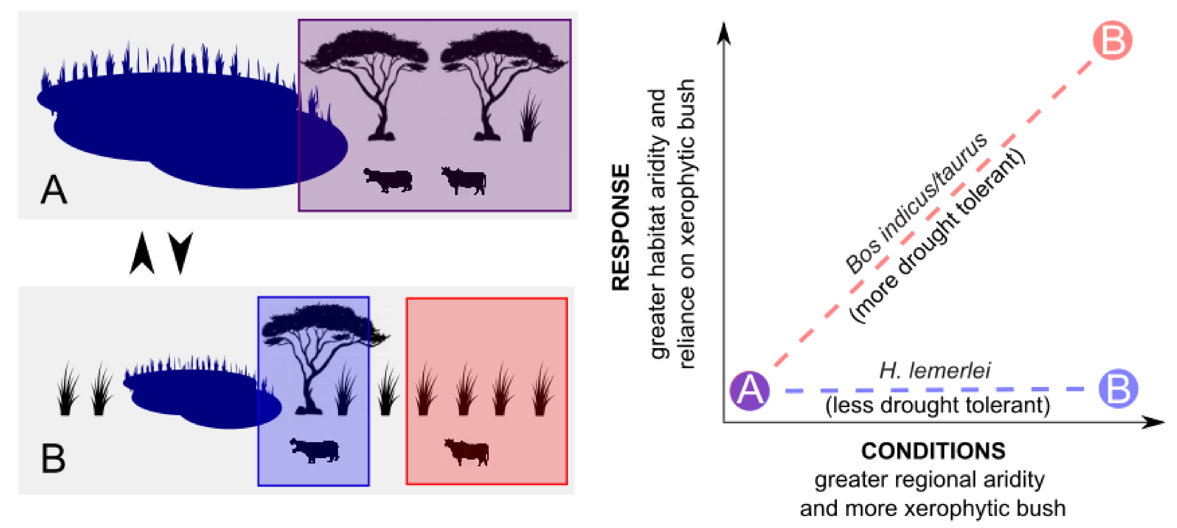 Climate 09 00138 g001 Climate 09 00138 g001