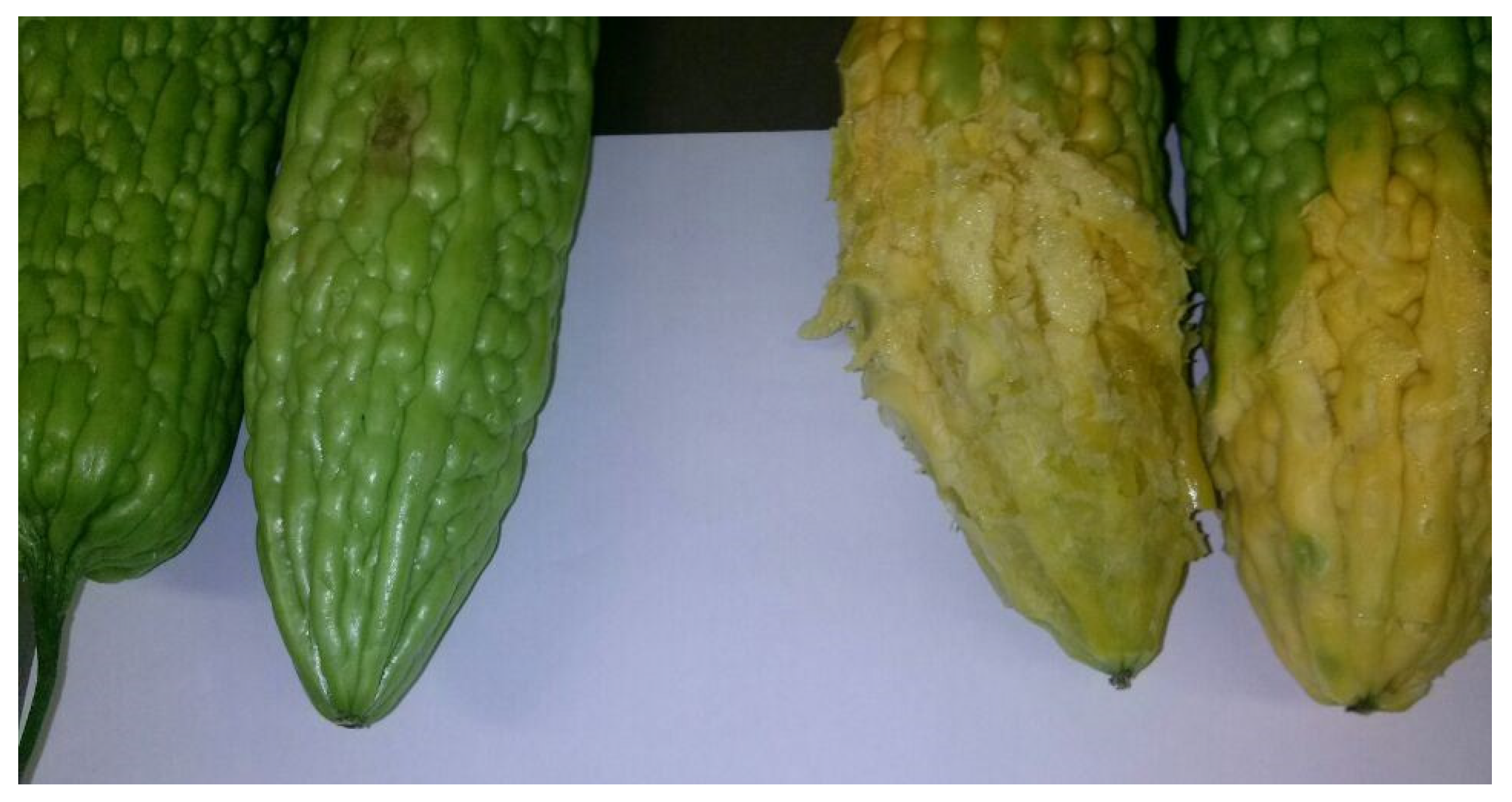 Climate 09 00147 g003 550