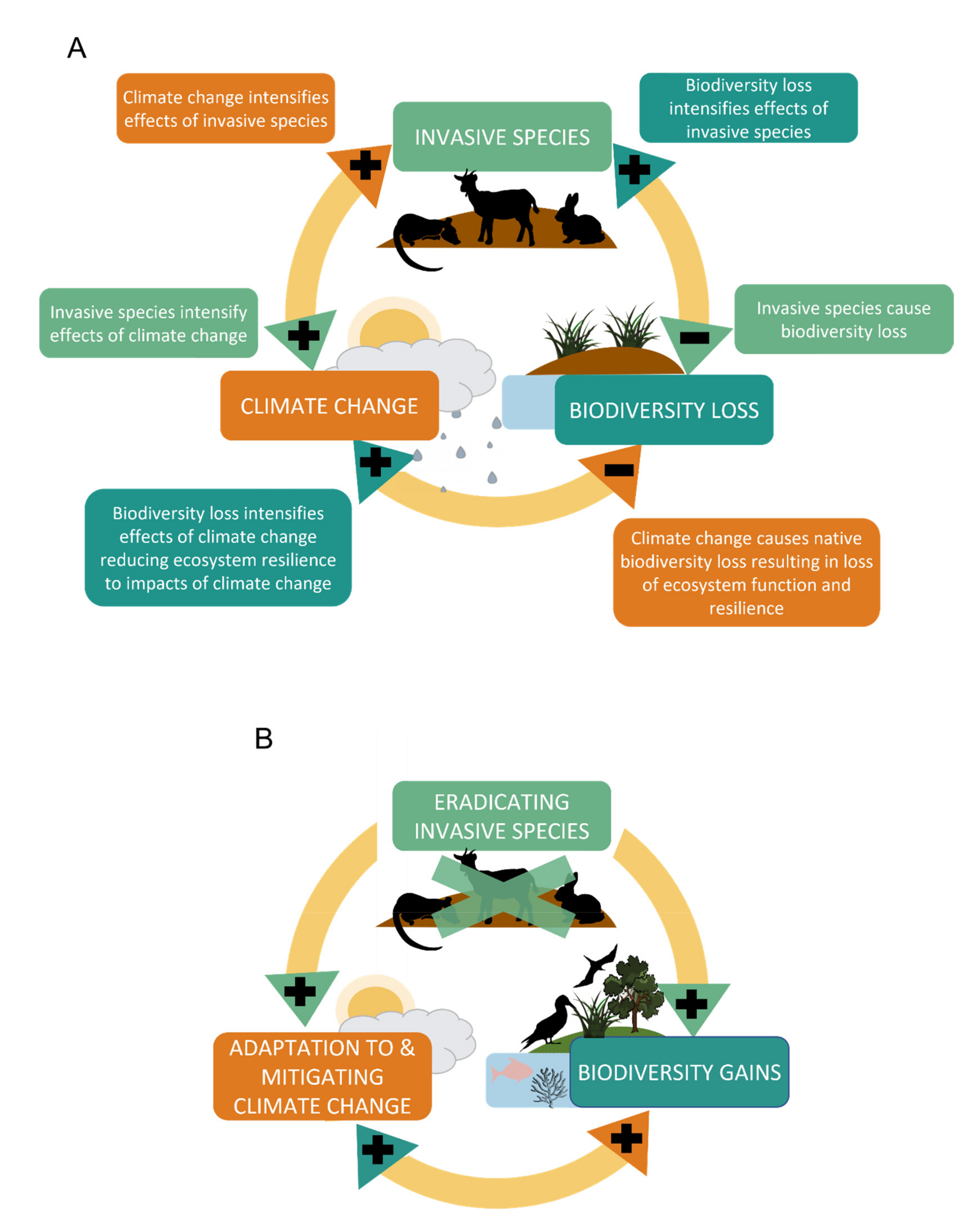 Climate Free Full Text Do Invasive Mammal Eradications From Islands Support Climate Change Adaptation And Mitigation Html