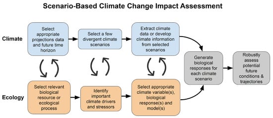 In-Game Uncertainties and Climate Change Challenges as Identified