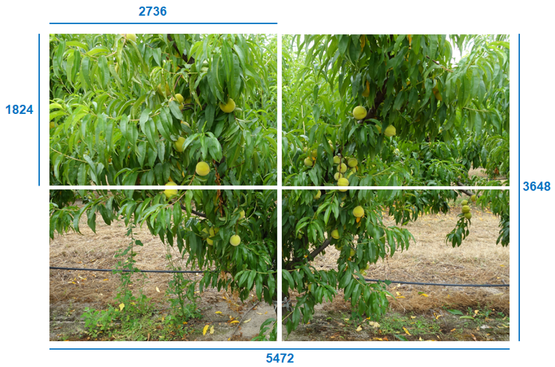 Climate 10 00011 g003