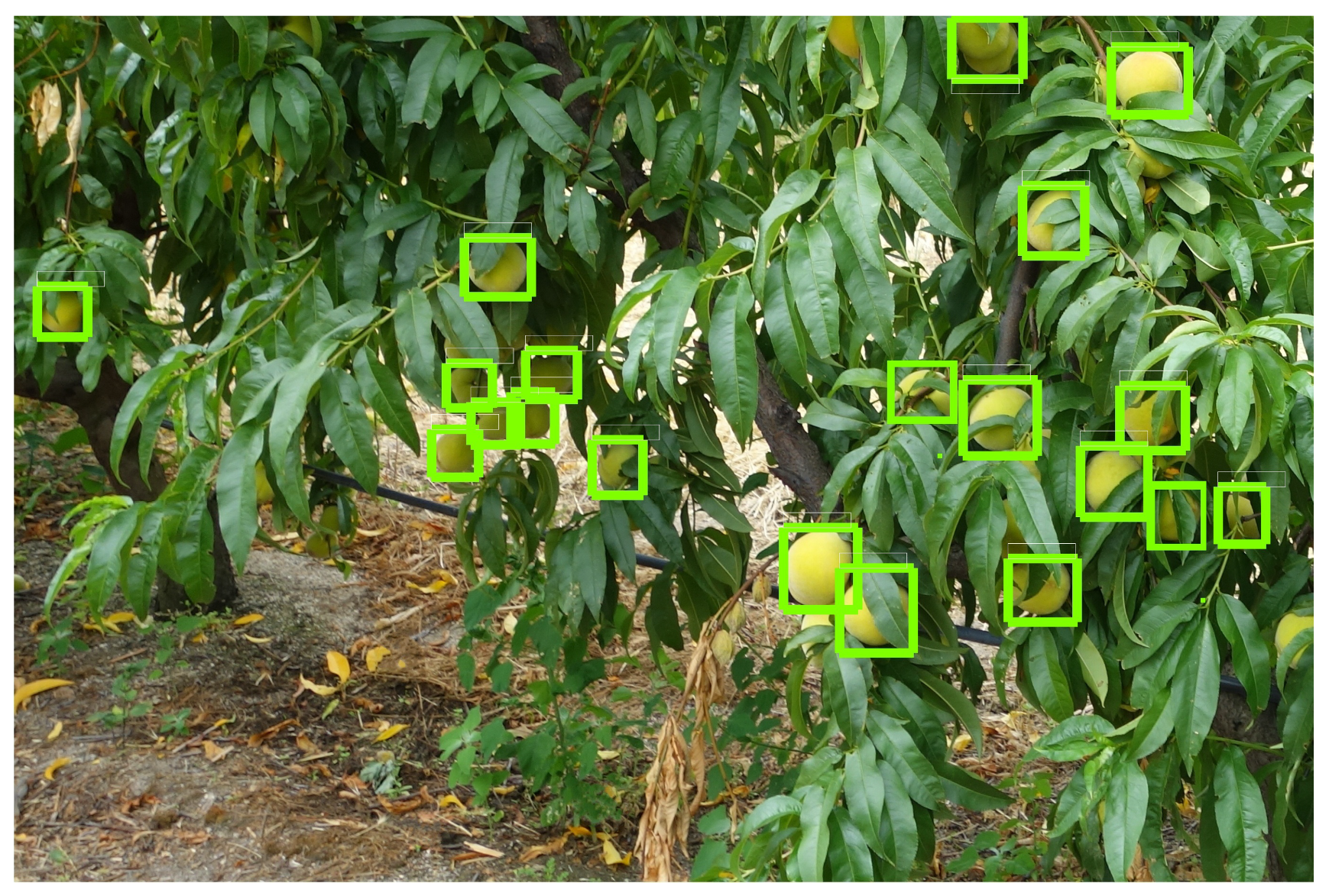 Climate 10 00011 g008