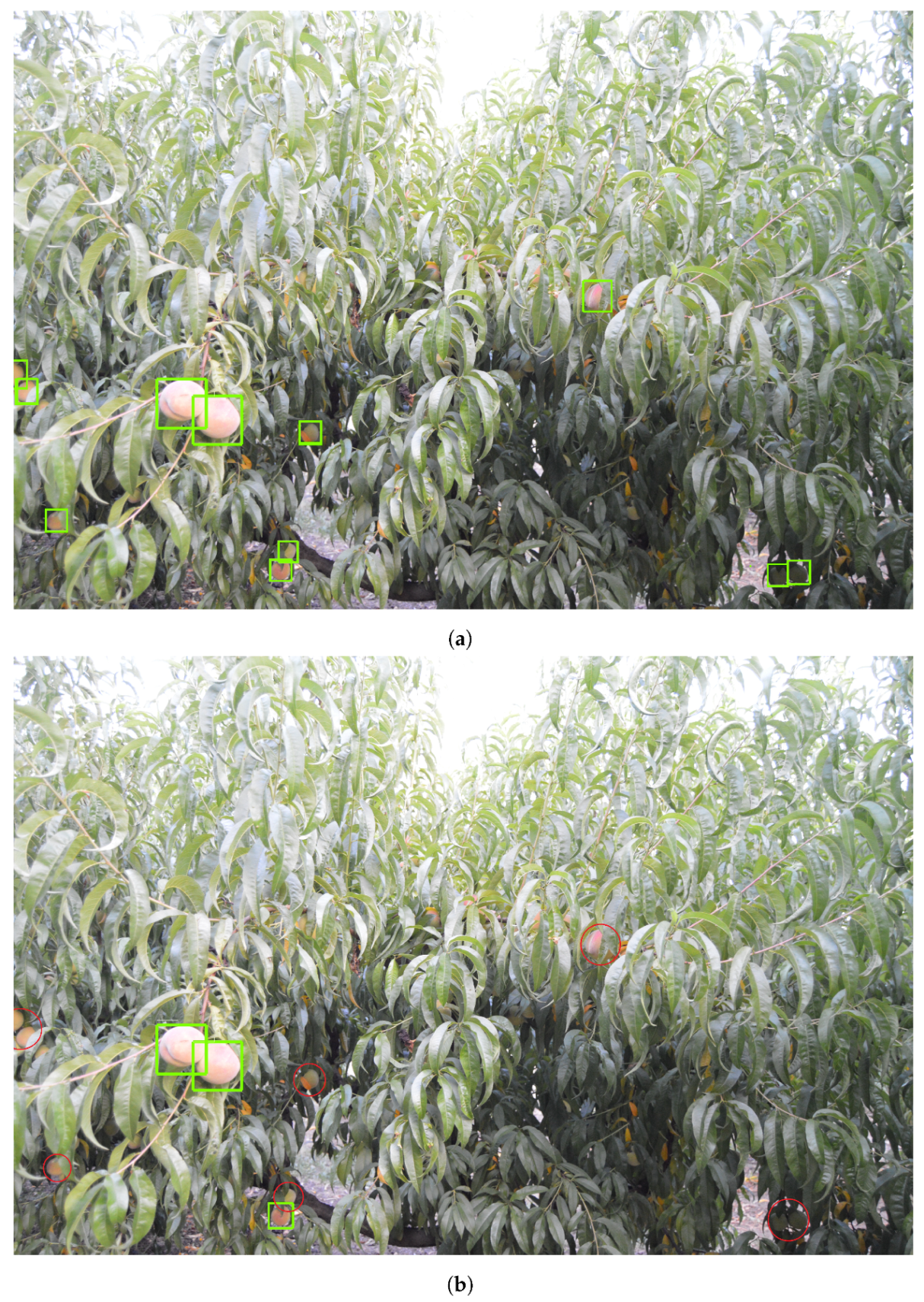 Climate 10 00011 g011