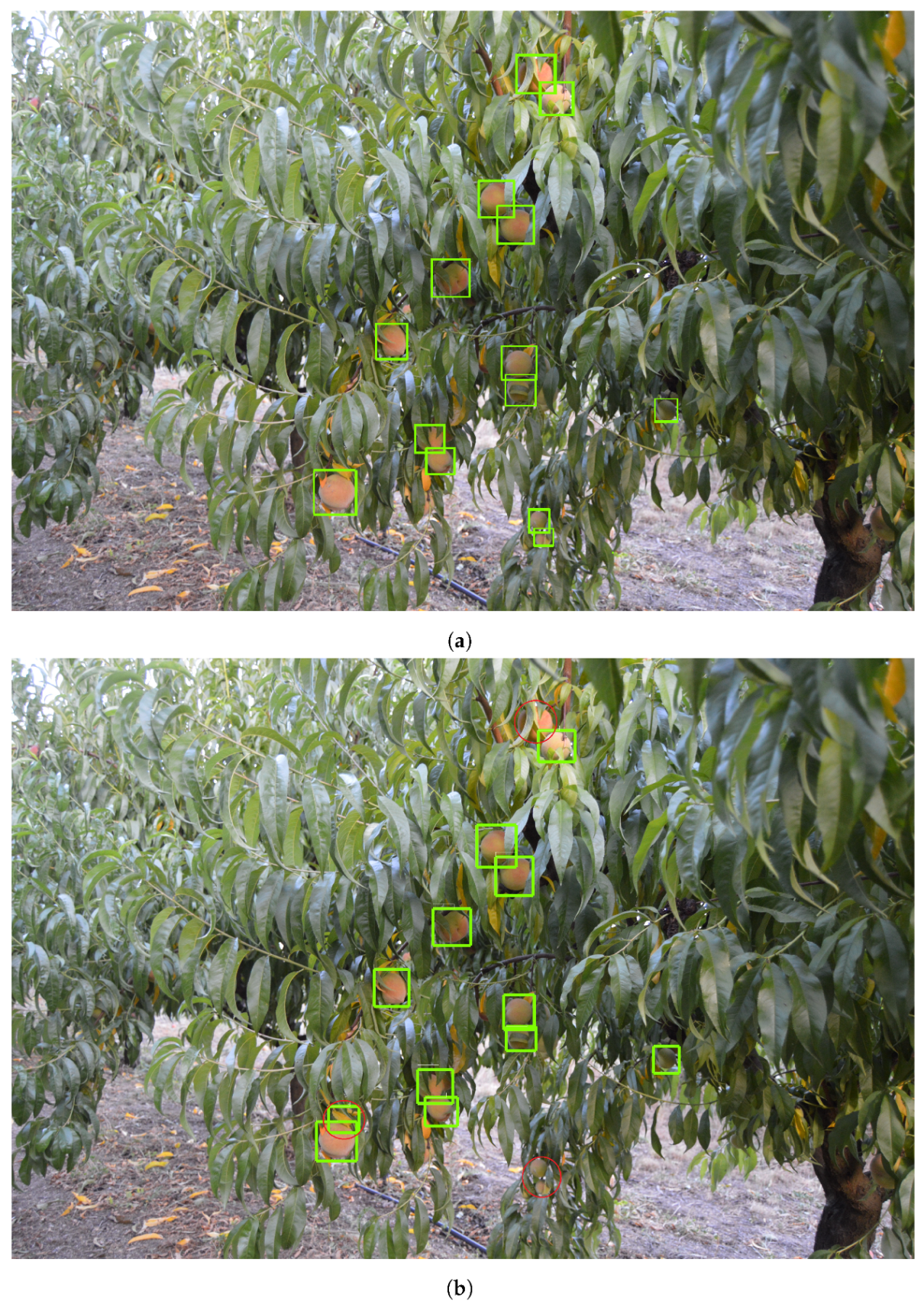 Climate 10 00011 g012