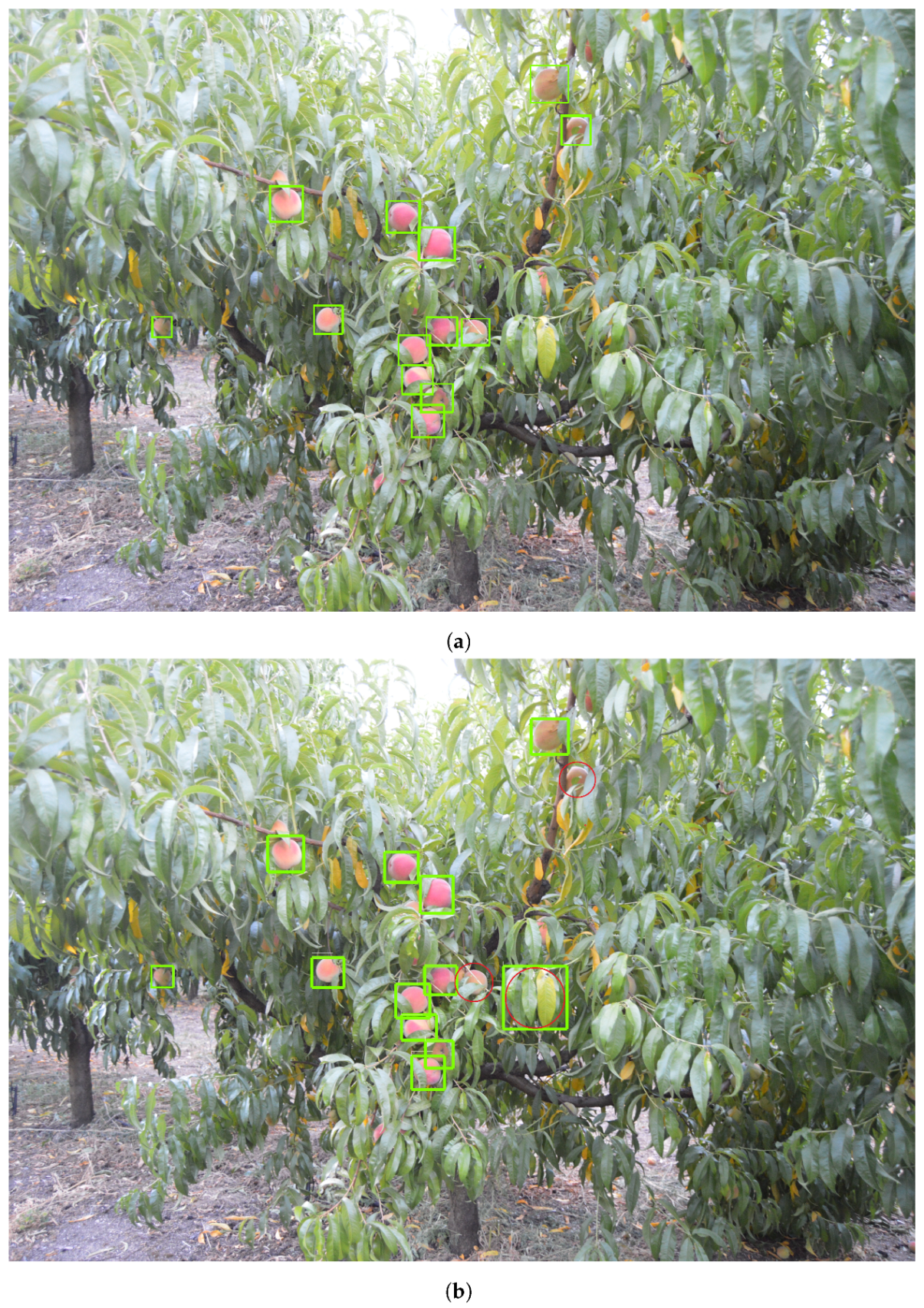 Climate 10 00011 g013