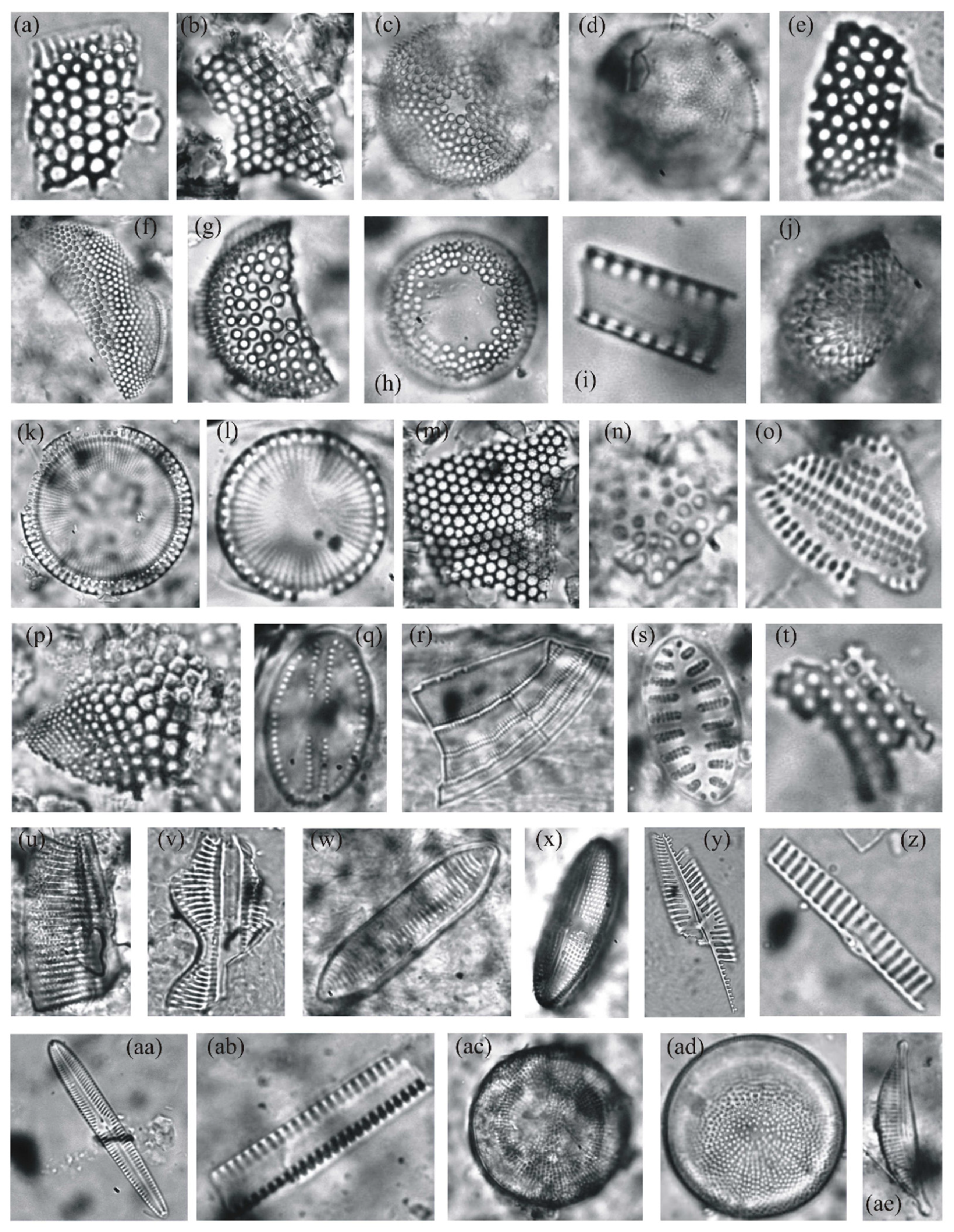 Climate 10 00024 g003