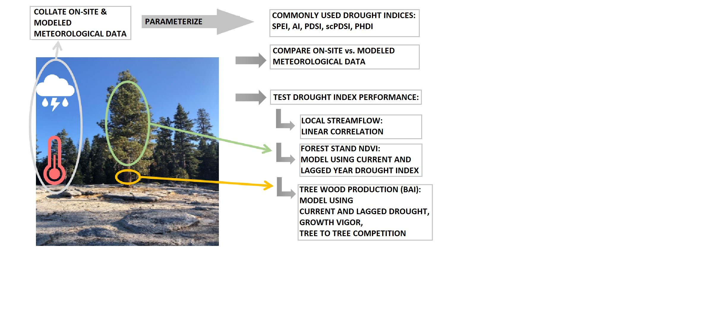 Climate | Free Full-Text | Assessing Role of Drought Indices in  Anticipating Pine Decline in the Sierra Nevada, CA