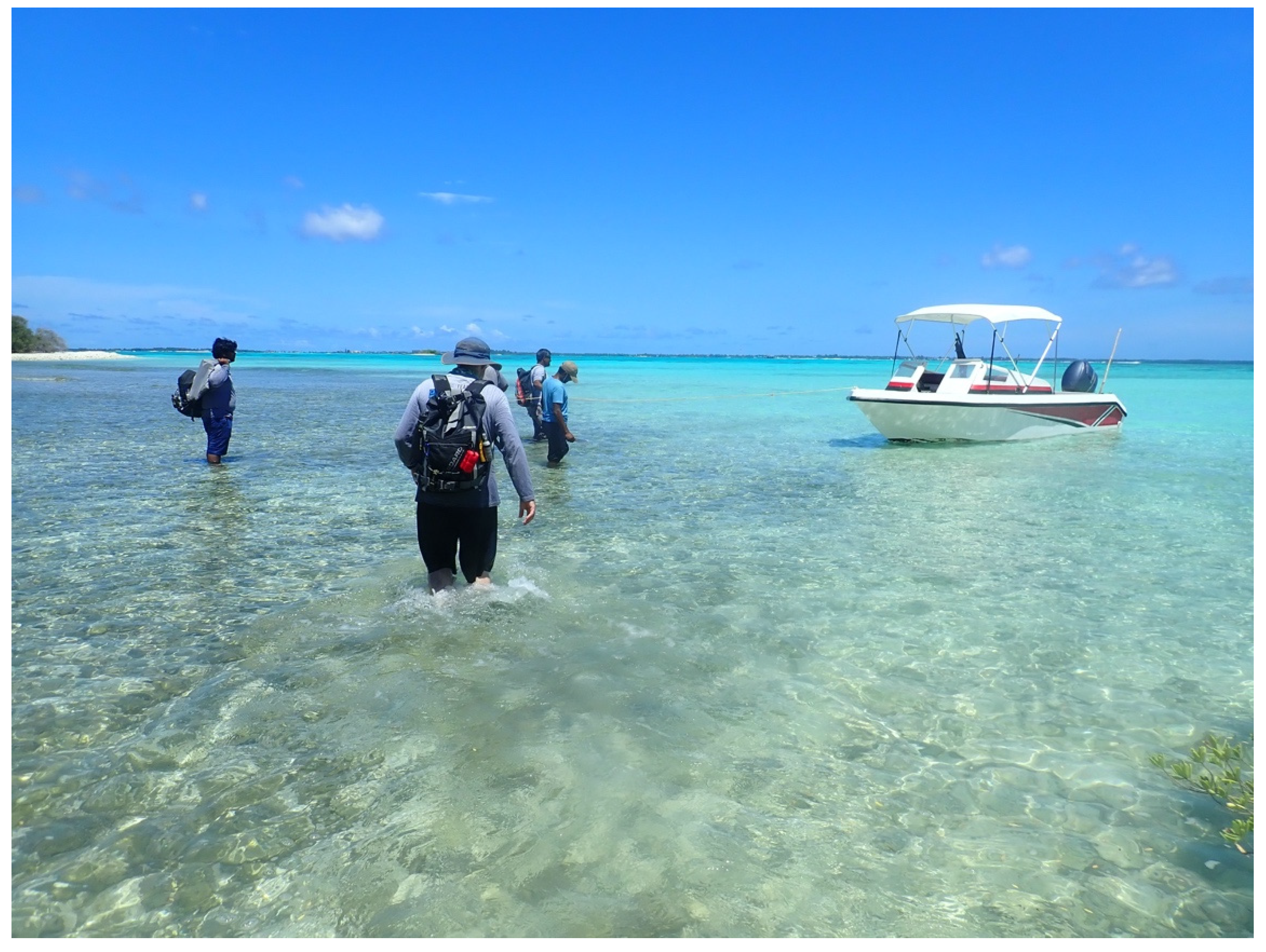 Climate 10 00079 g006