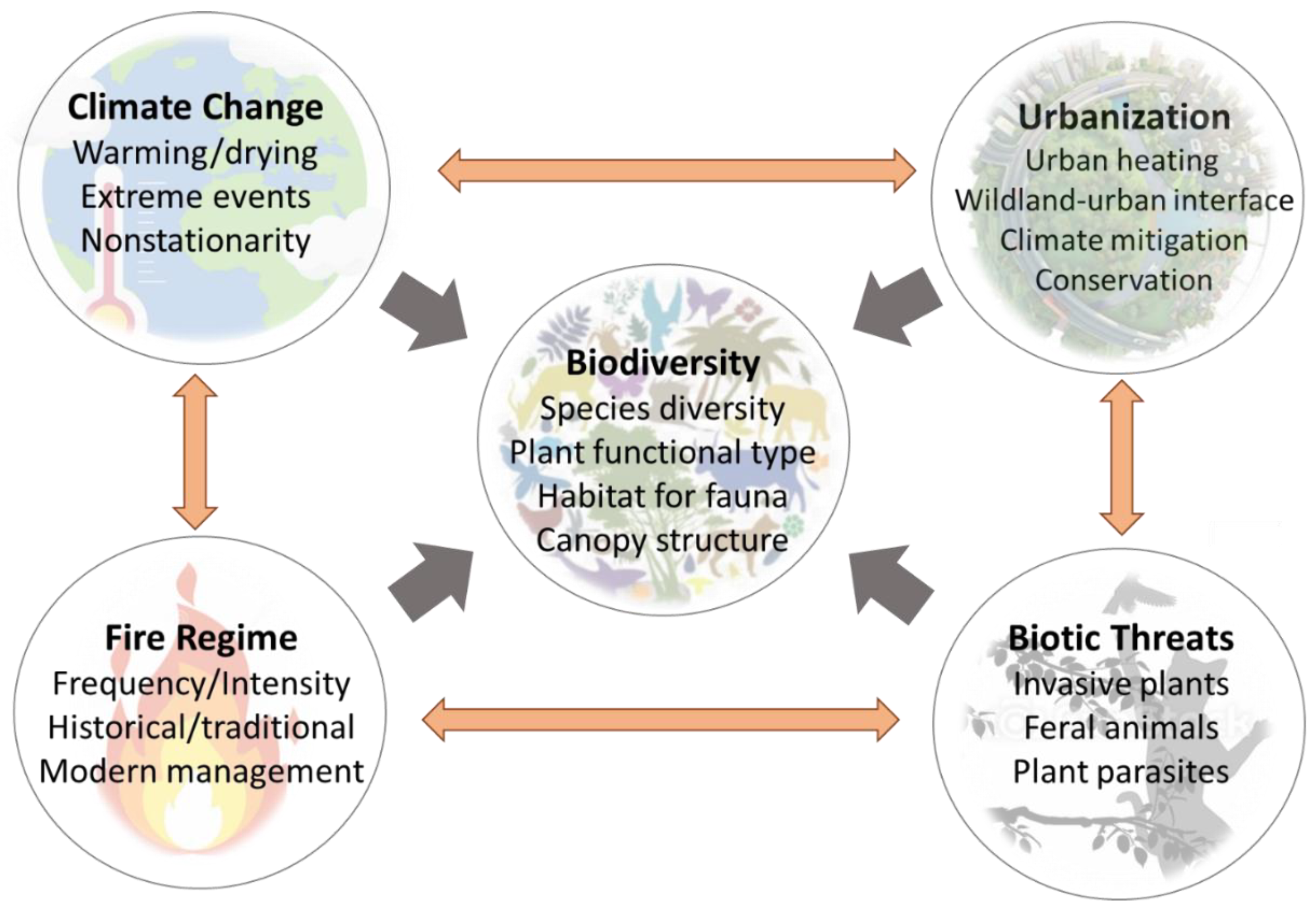 Climate 10 00086 g001 Climate 10 00086 g001