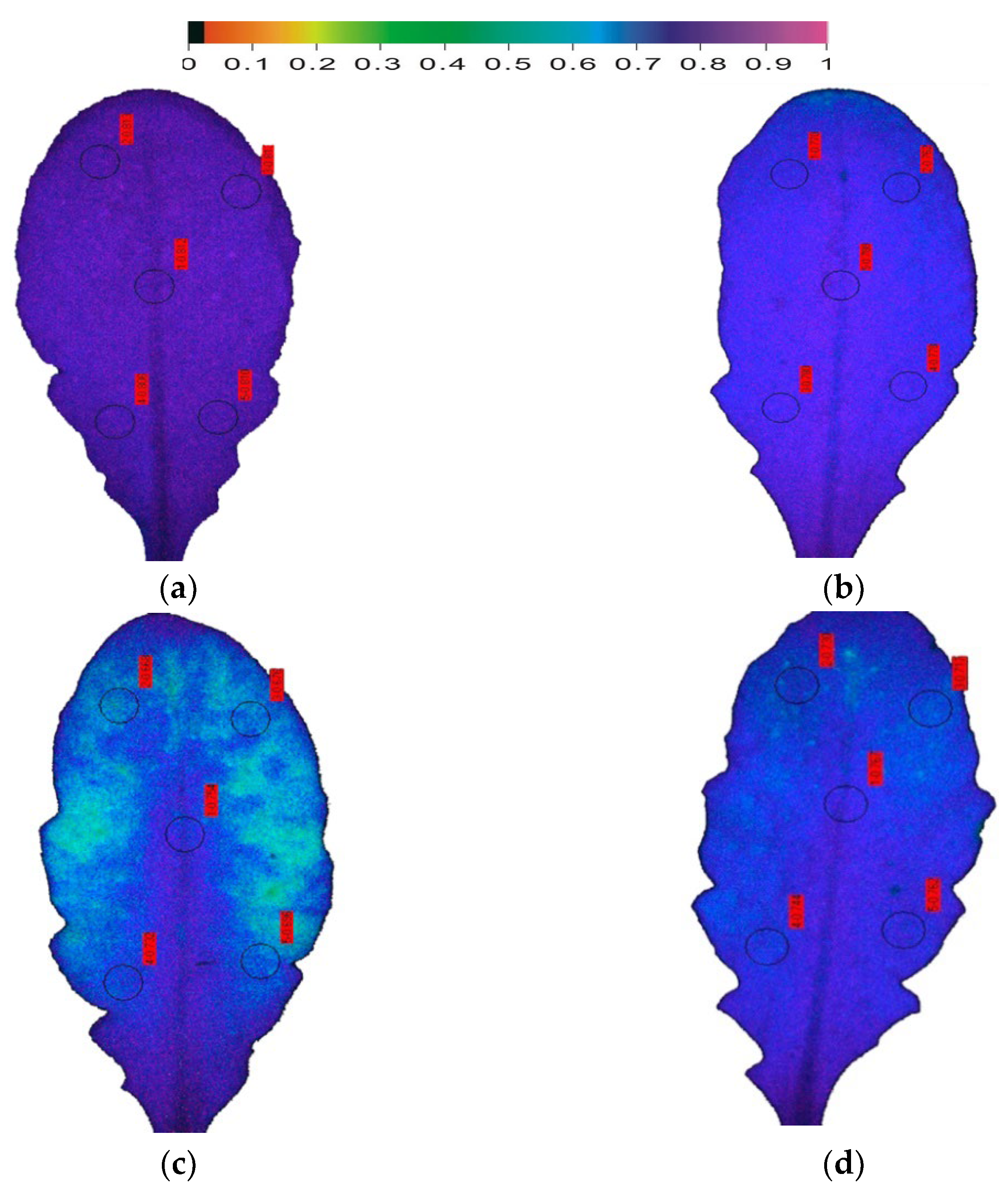 Climate 10 00179 g003