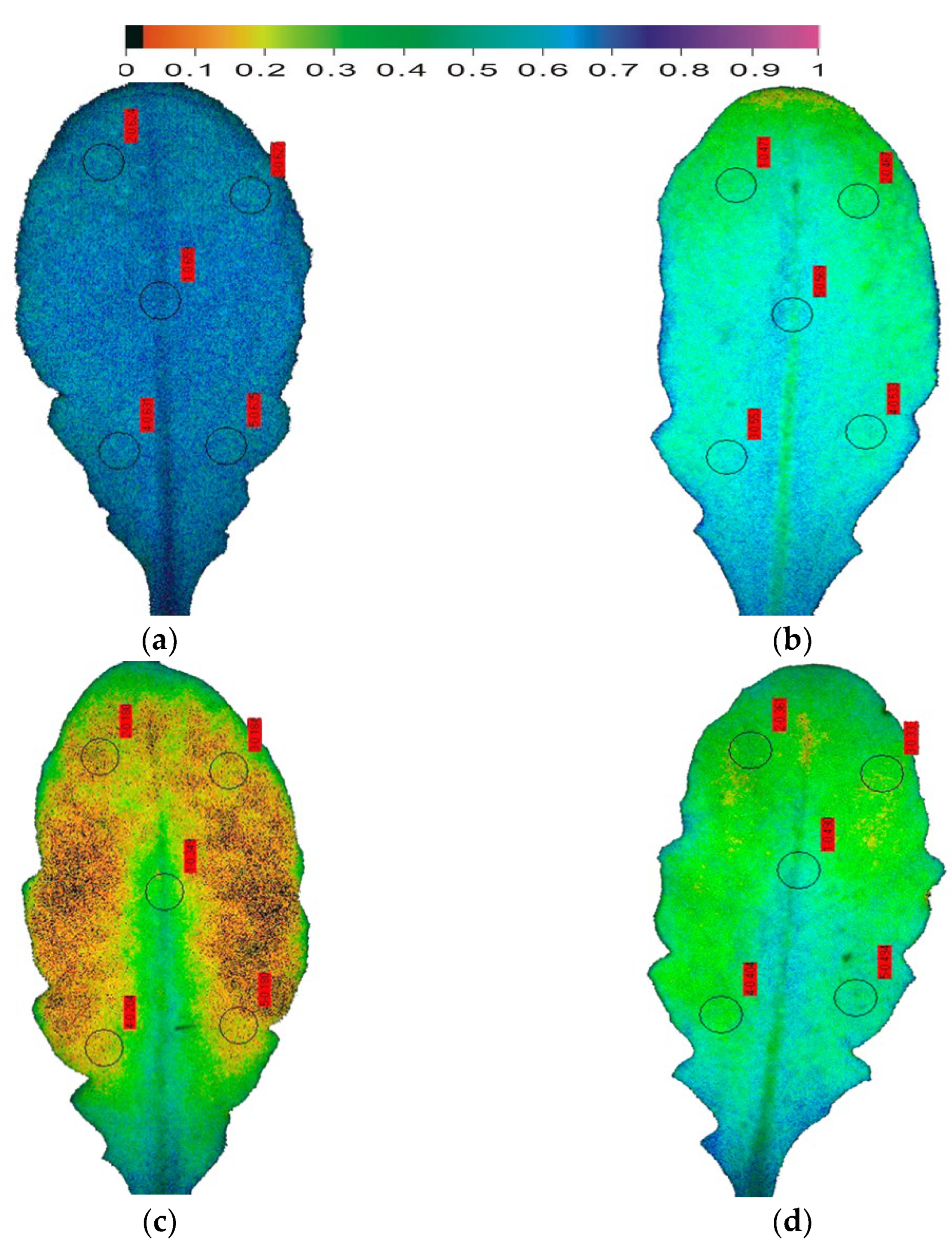 Climate 10 00179 g004