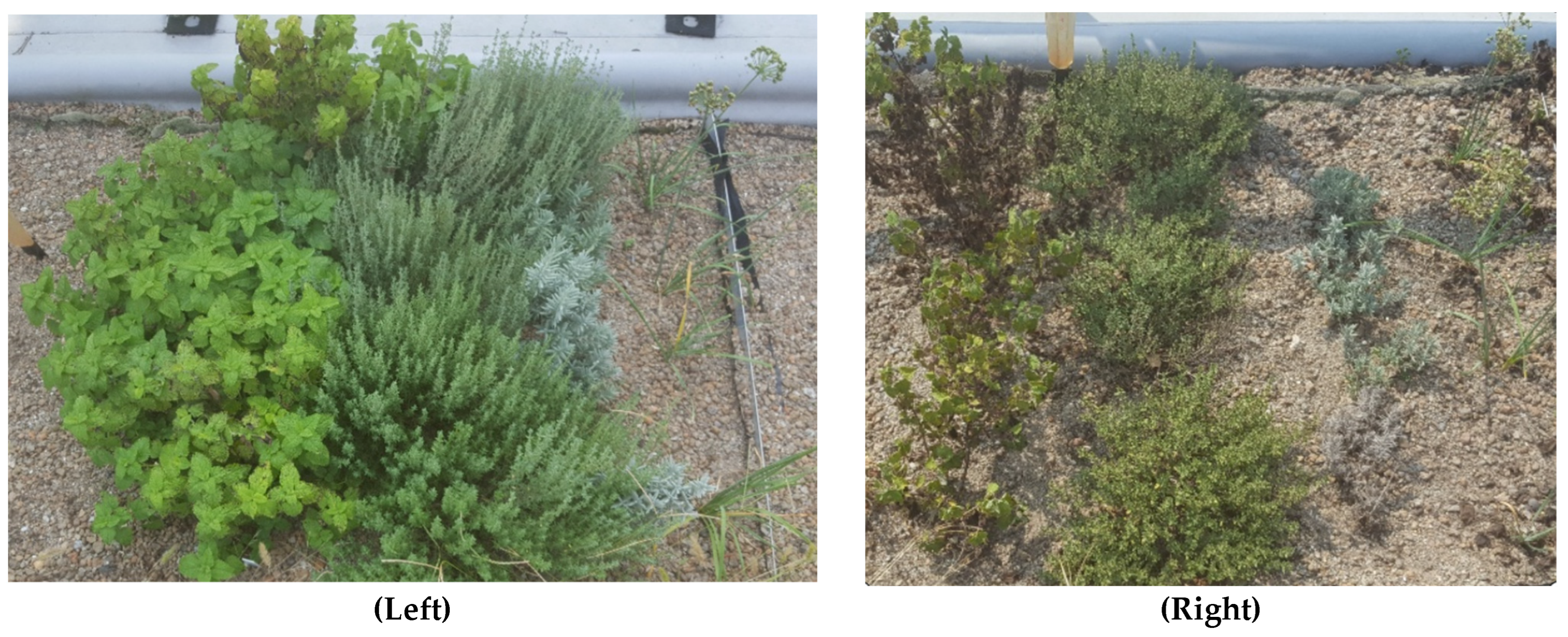 Climate 10 00180 g001