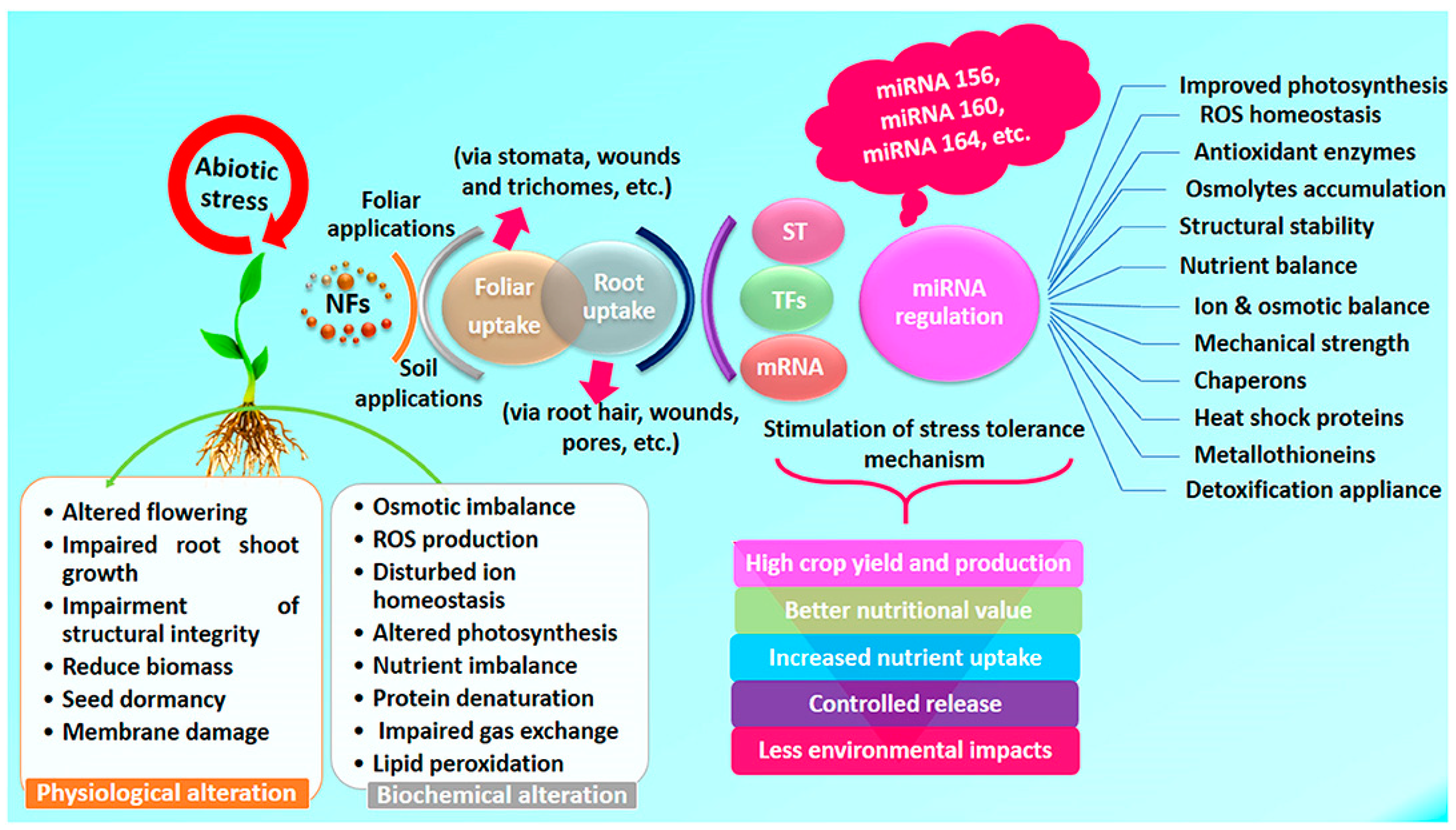 Climate 10 00183 g002 Climate 10 00183 g002