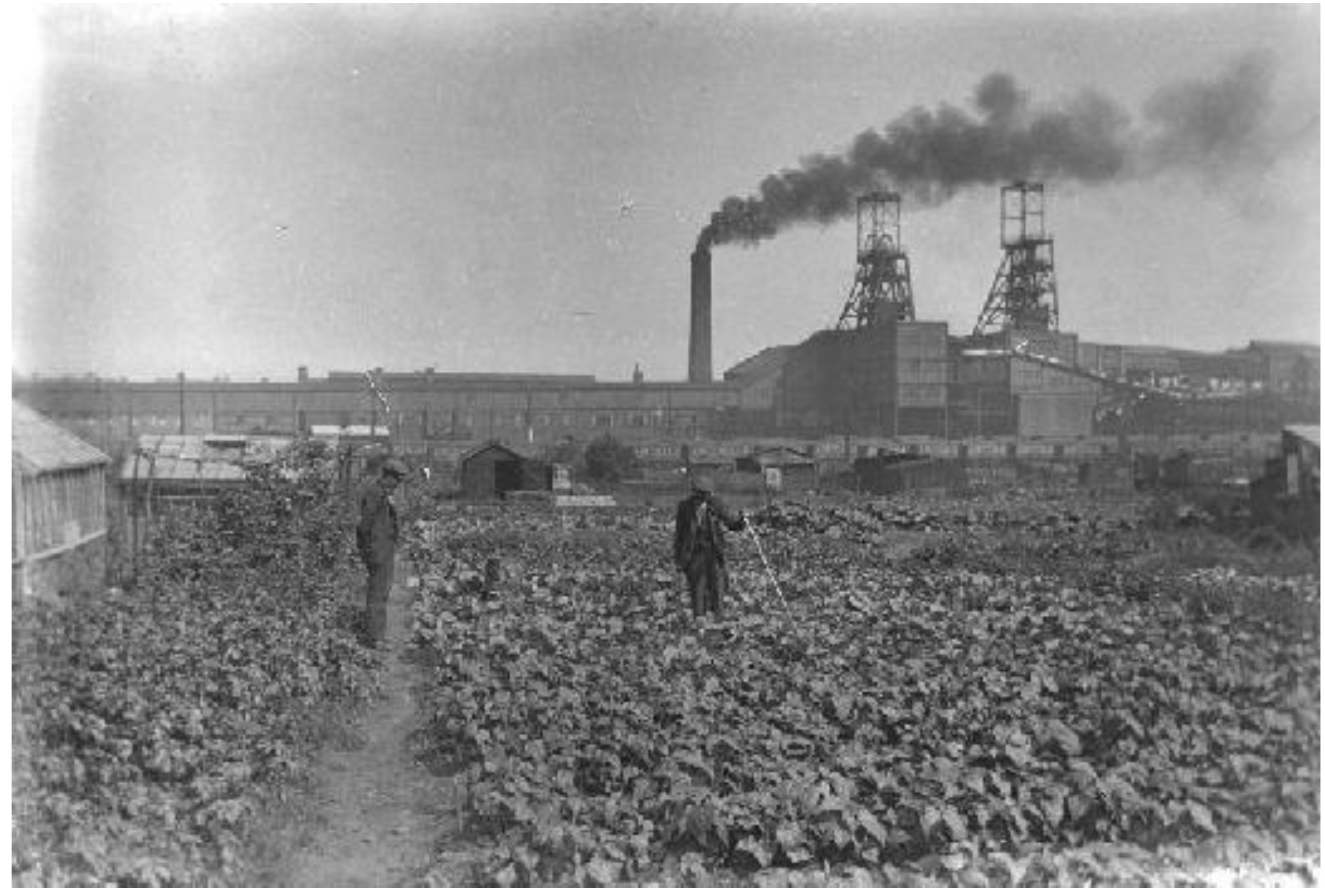 Climate 11 00054 g006