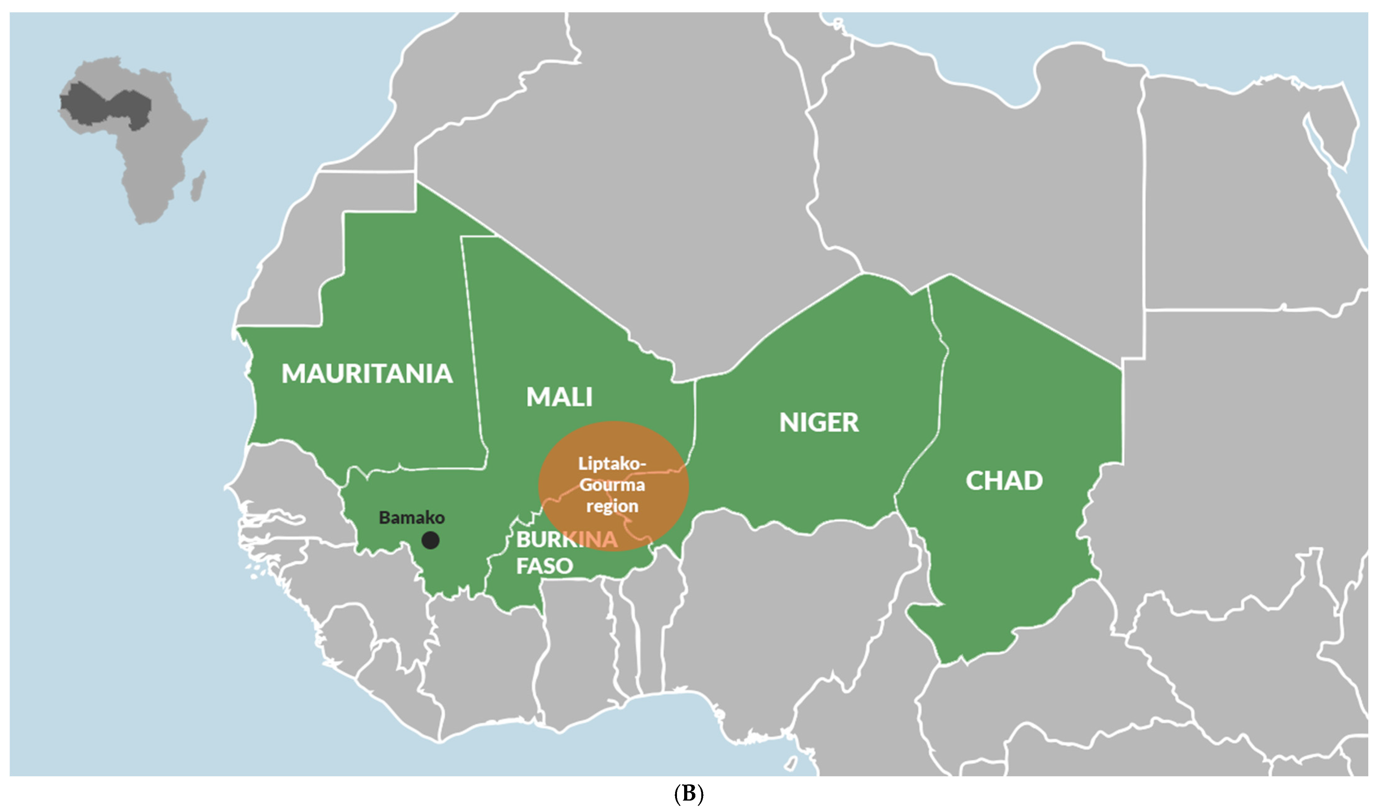 Зона сахель страны. Нигер мали Буркина Фасо на карте. Сахель на карте Африки. Регион Сахель. Нигер и мали на карте.