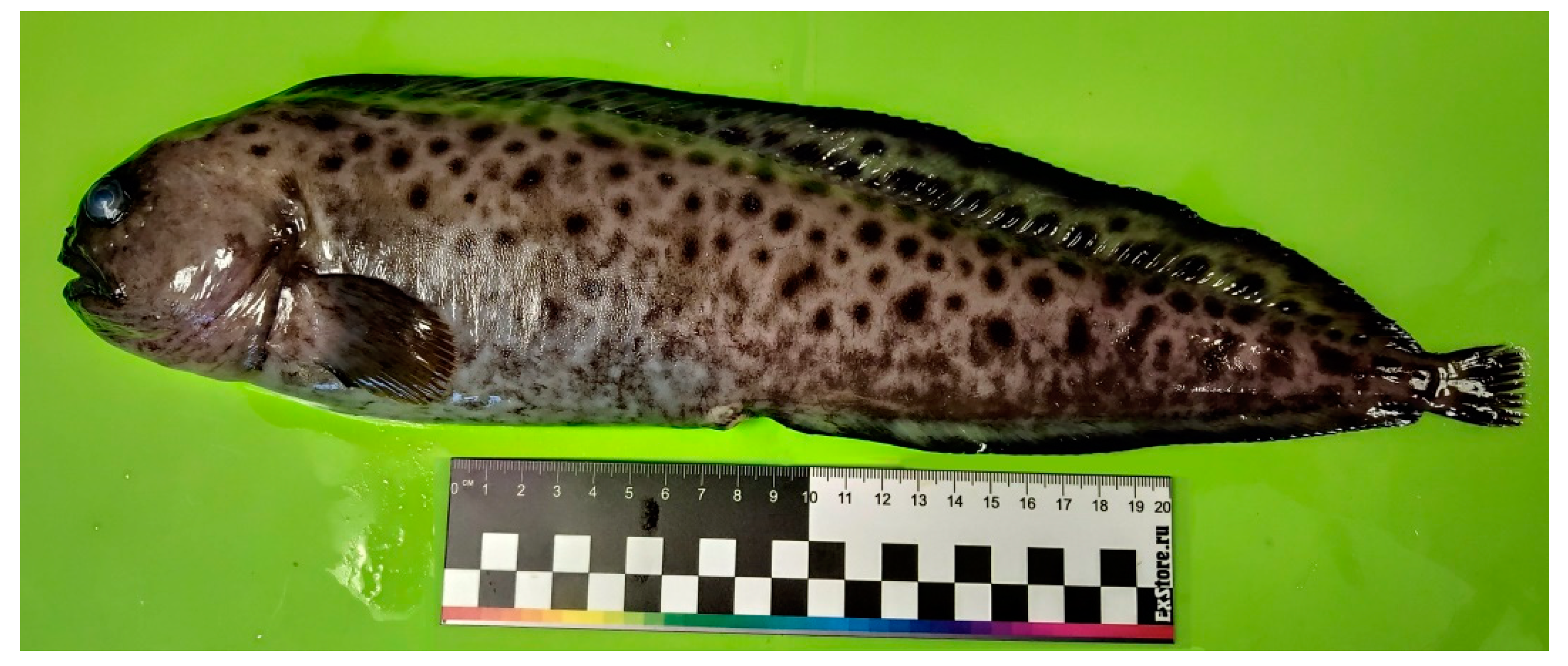 Climate 11 00101 g002 Climate 11 00101 g002