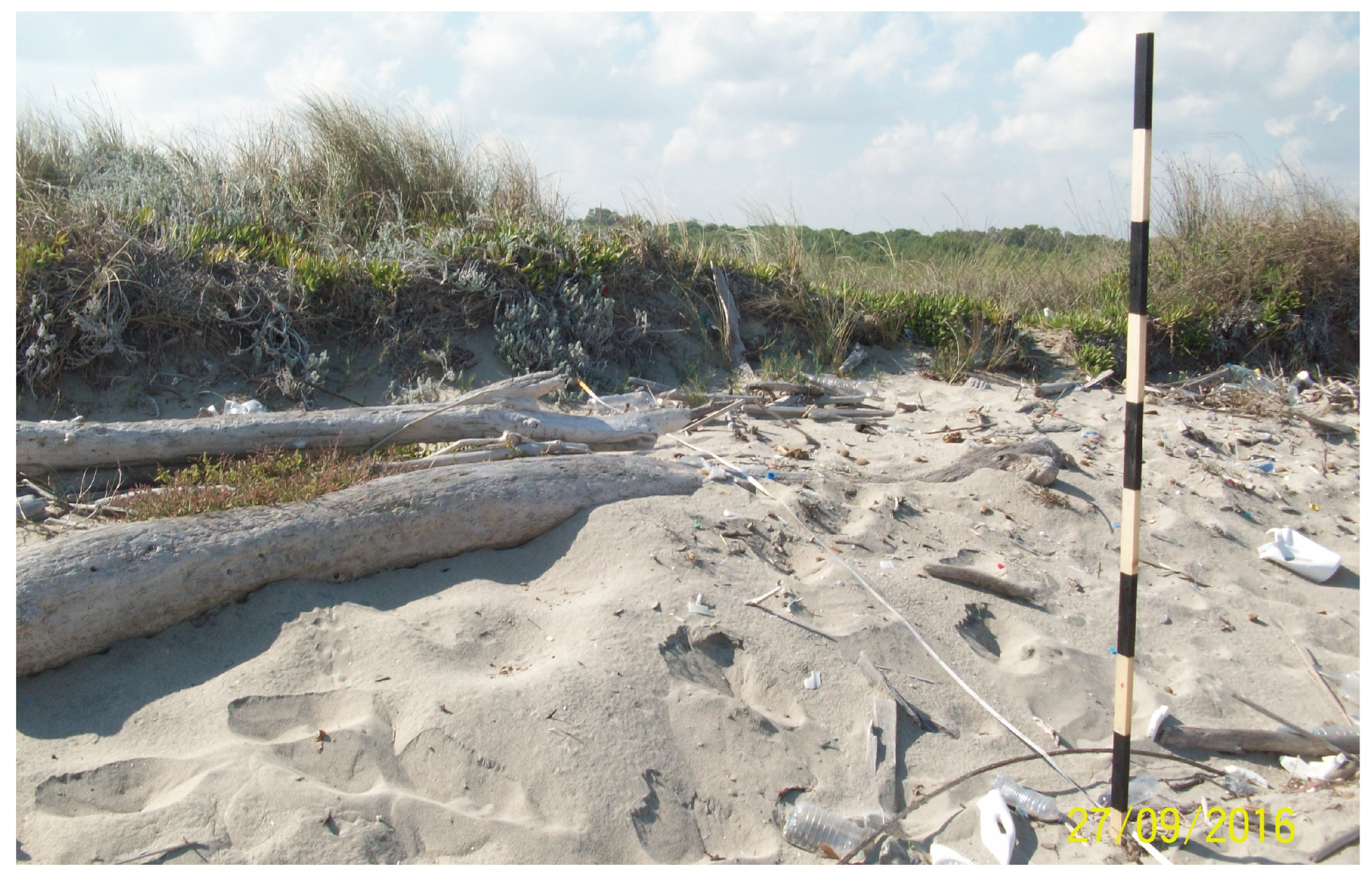 Climate 11 00128 g011 Climate 11 00128 g011