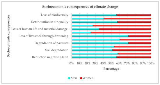 Study of the Gendered Impacts of Climate Change in Bol, Lake Province, Chad