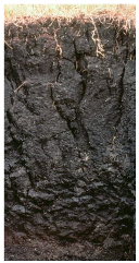 Climate 12 00194 i004