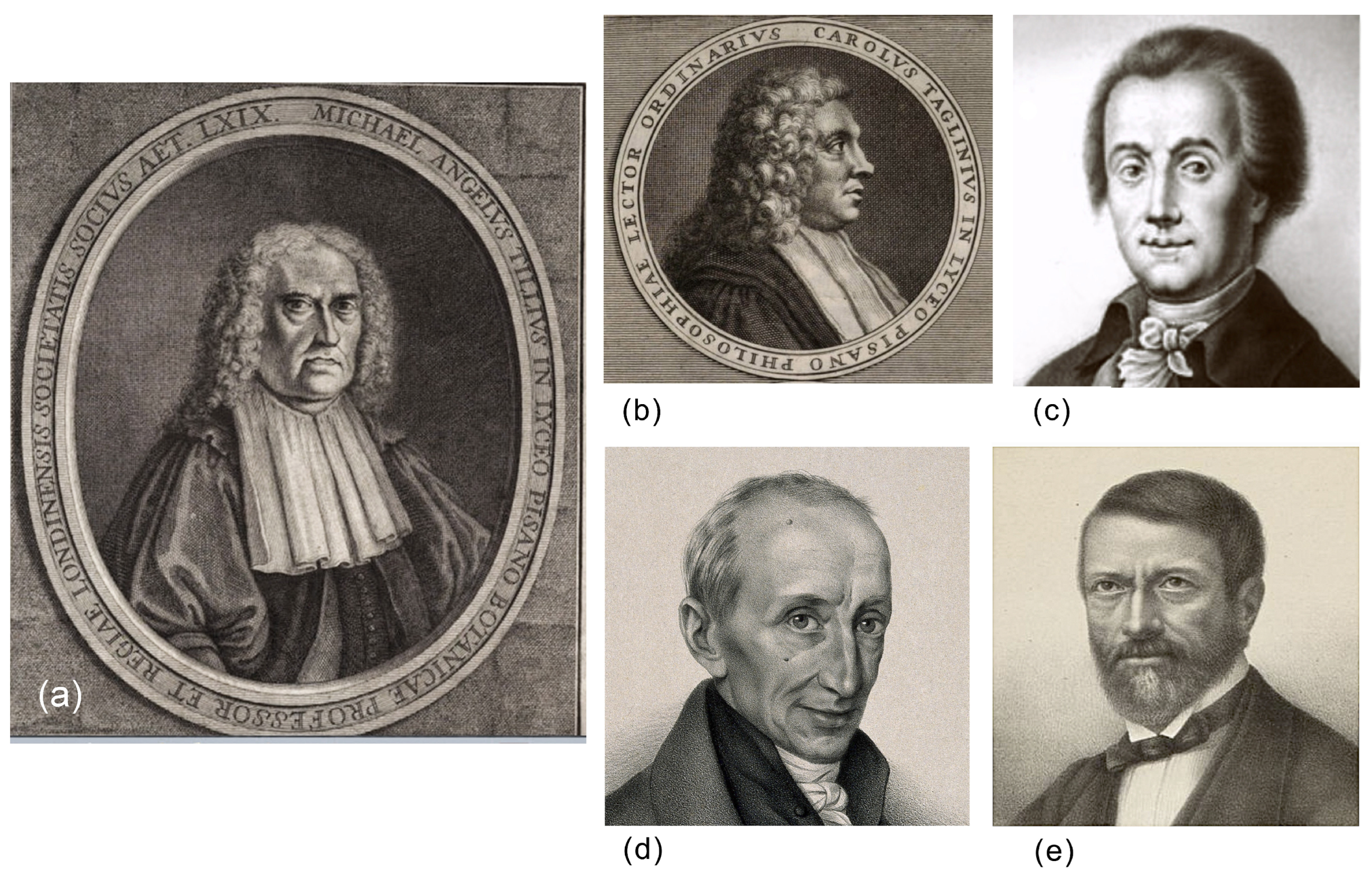 Climate 13 00073 g001