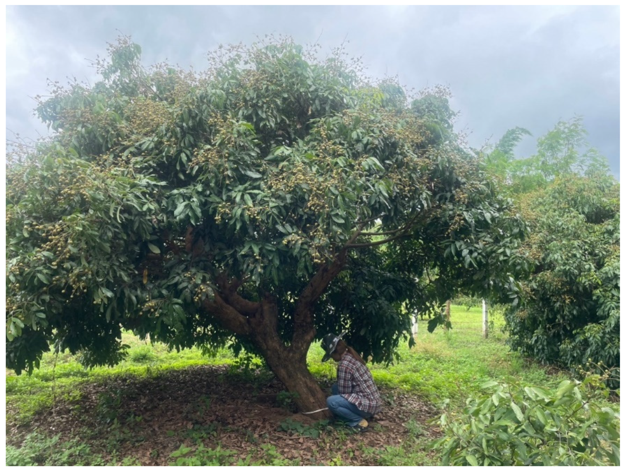 Climate 13 00101 g002