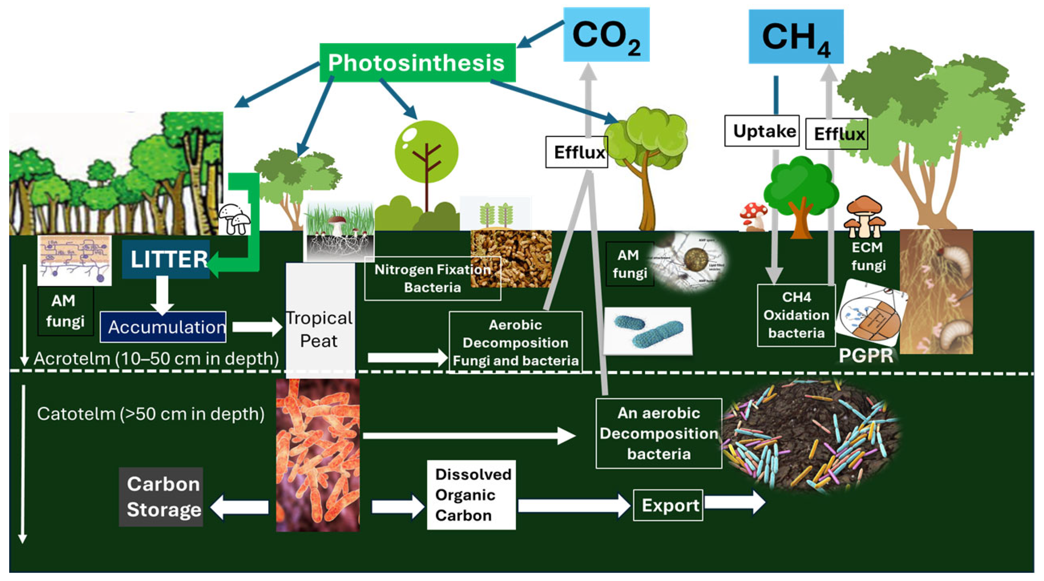 Climate 13 00208 g007 Climate 13 00208 g007