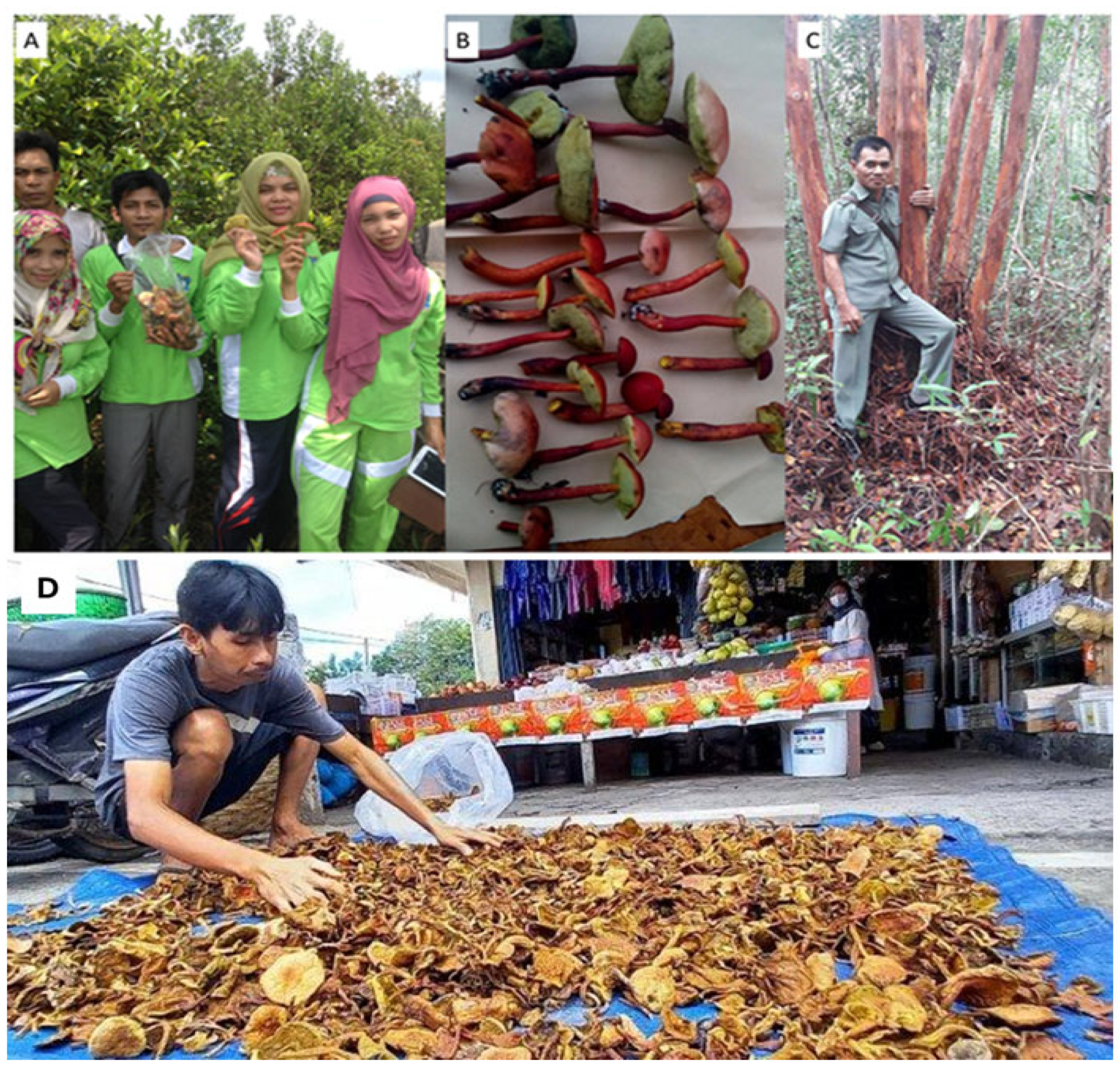 Climate 13 00208 g009 Climate 13 00208 g009