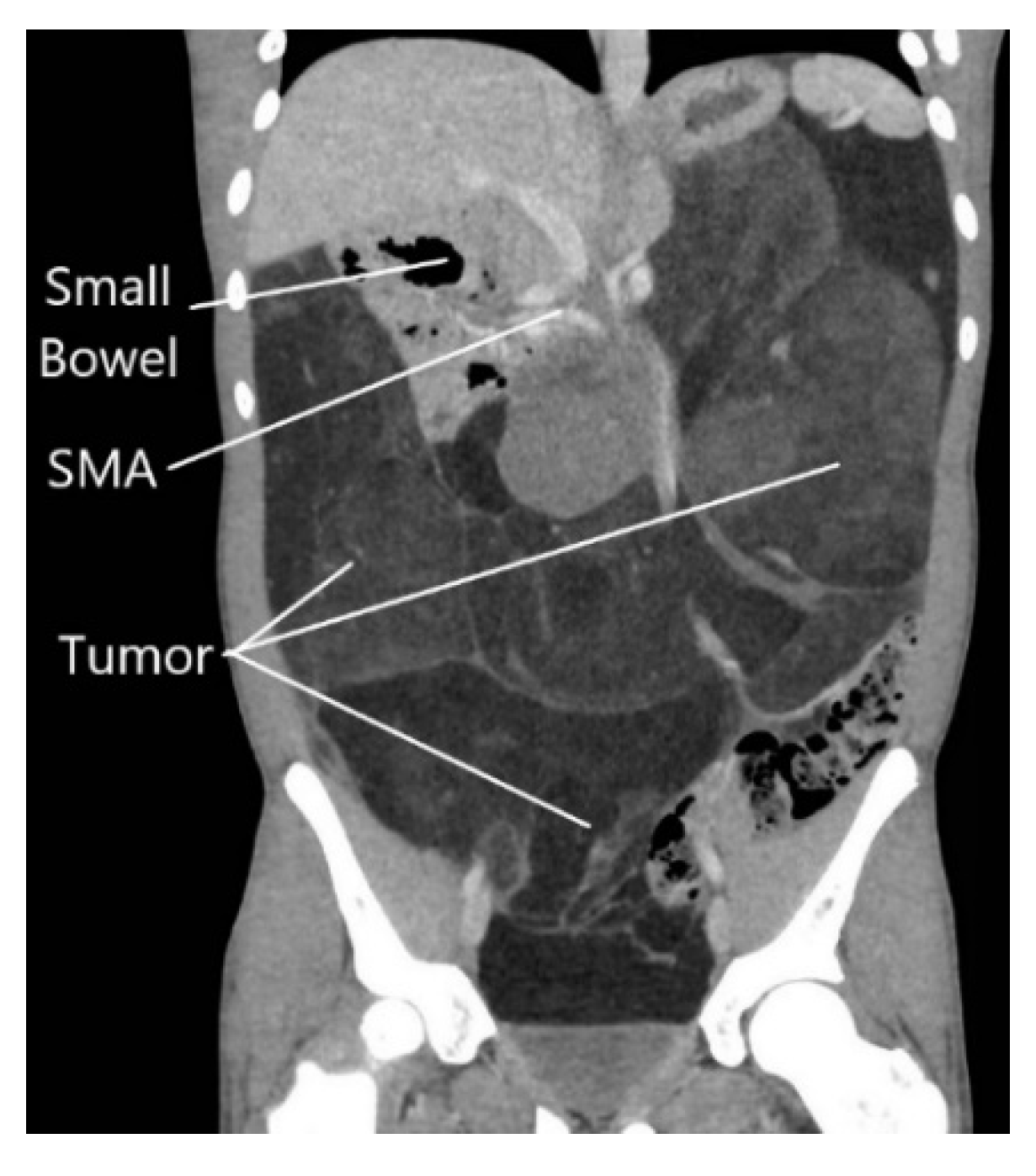 Clinpract 11 00002 g001