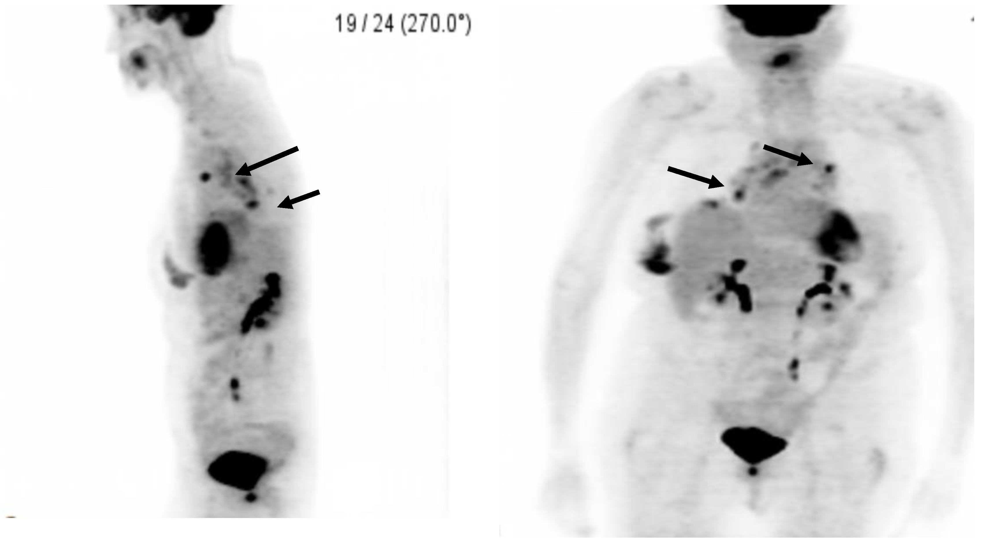 Clinpract 11 00003 g002 Clinpract 11 00003 g002