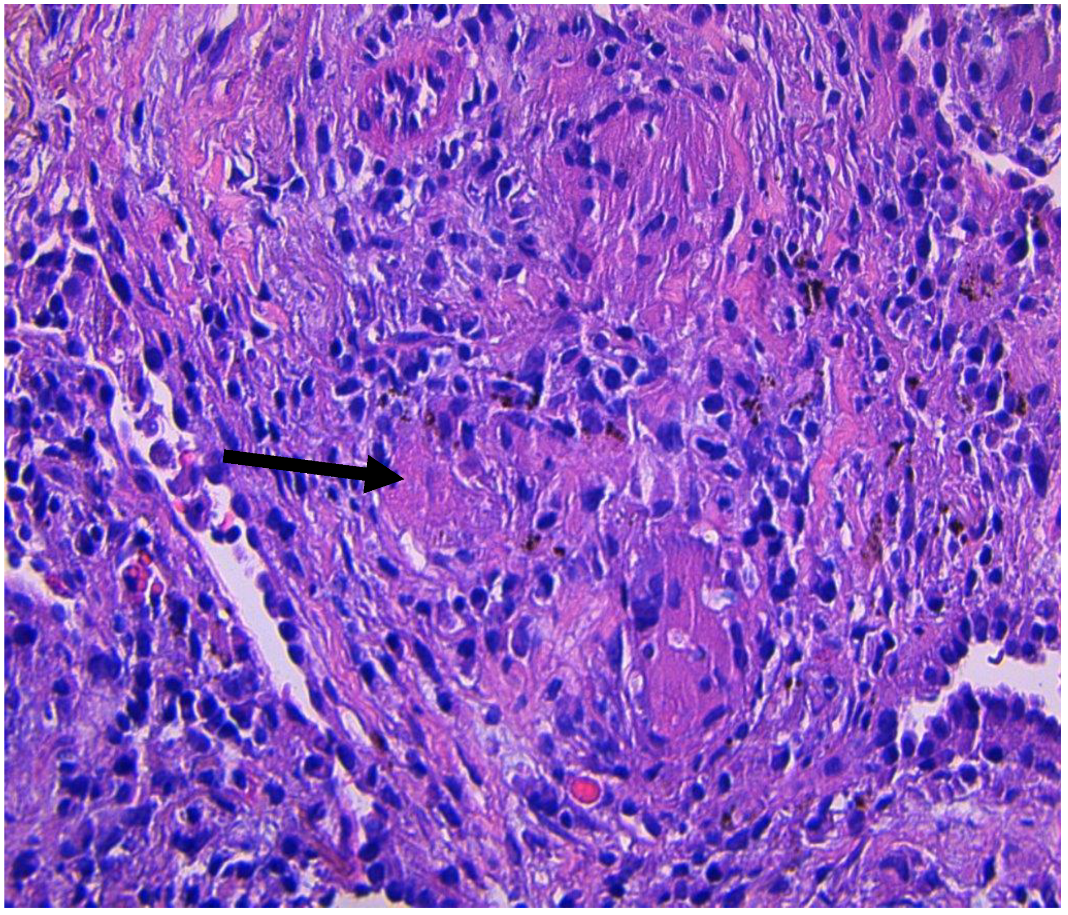 Clinpract 11 00003 g003 Clinpract 11 00003 g003