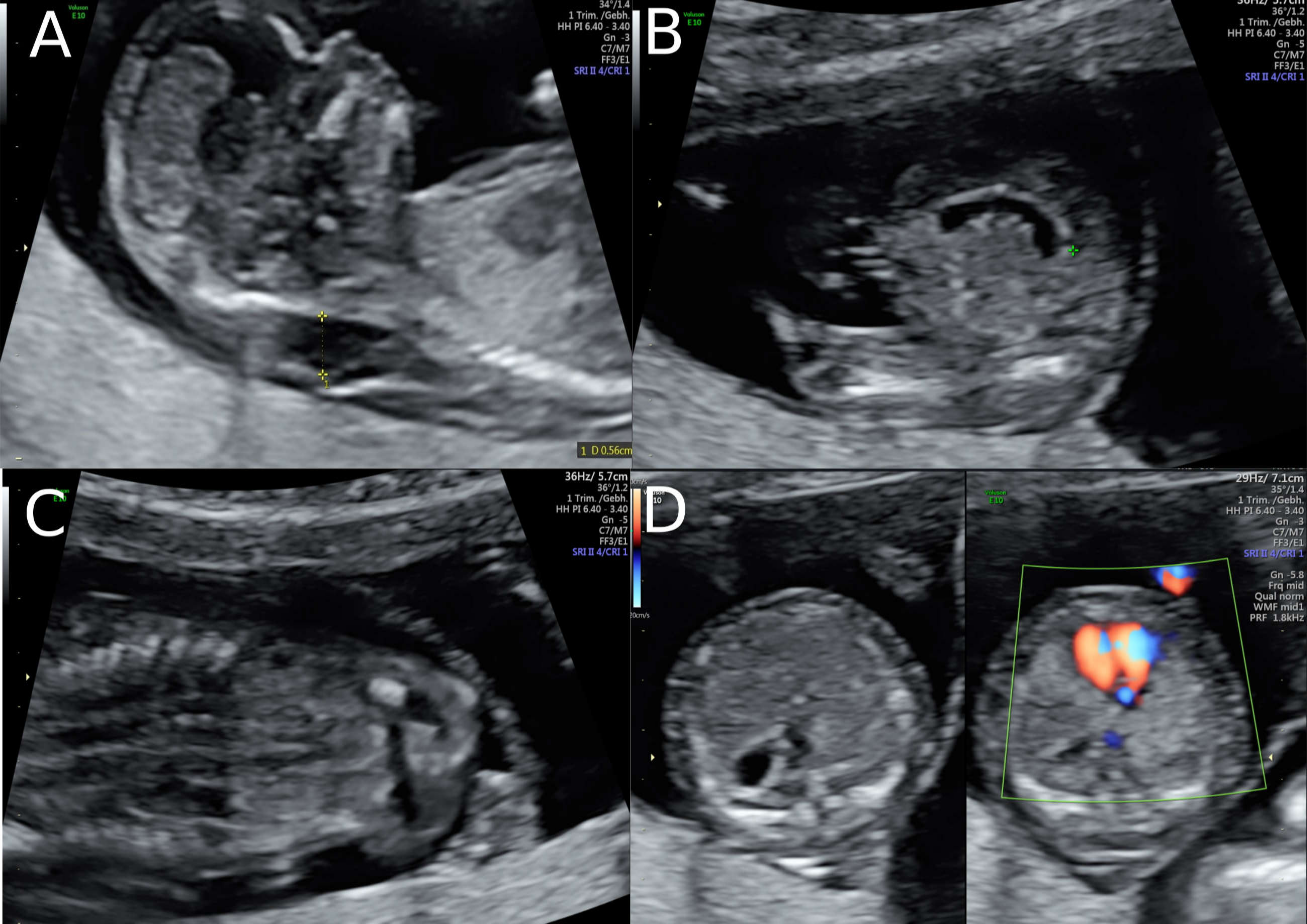 Clinpract 11 00012 g001