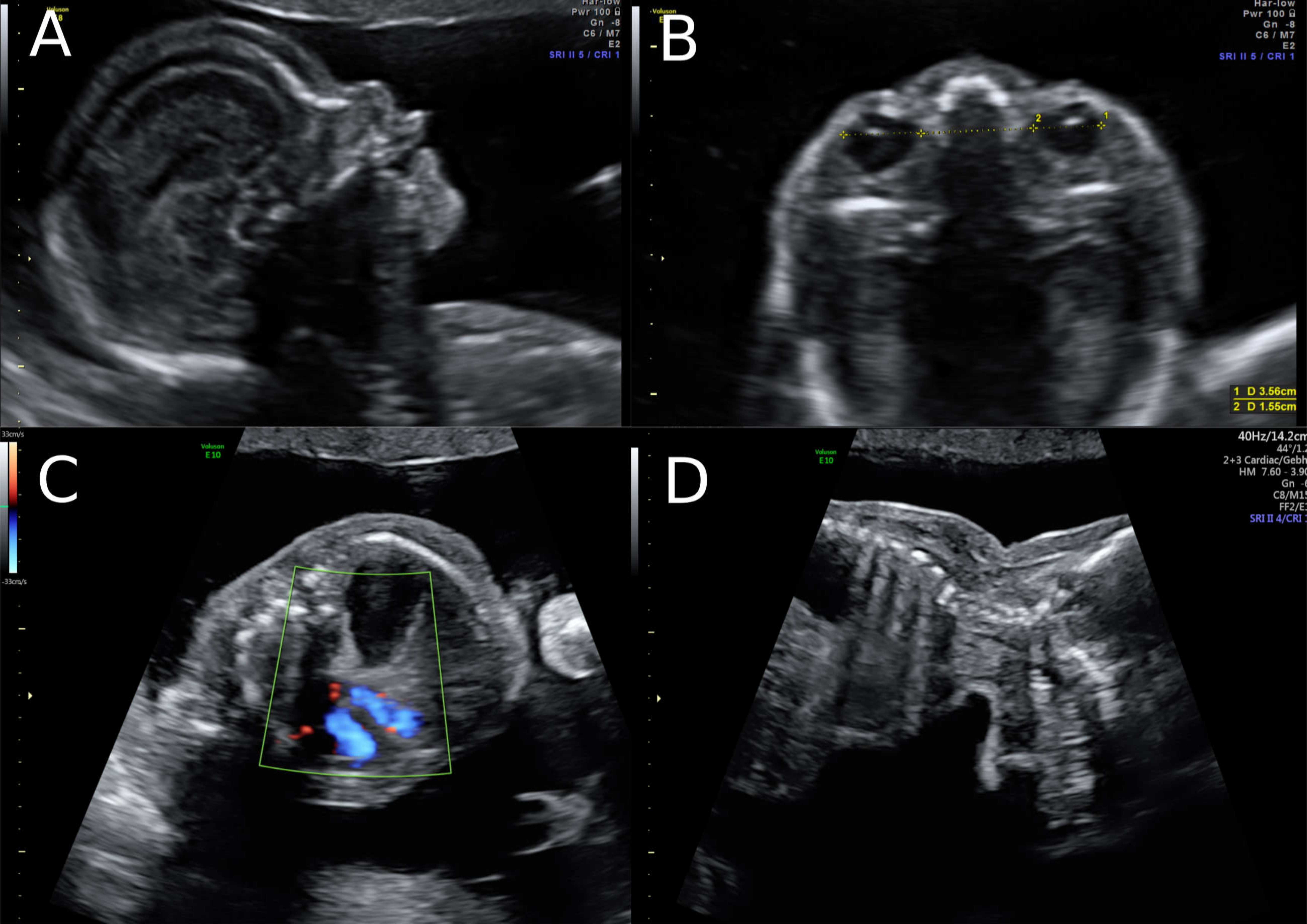 Clinpract 11 00012 g002