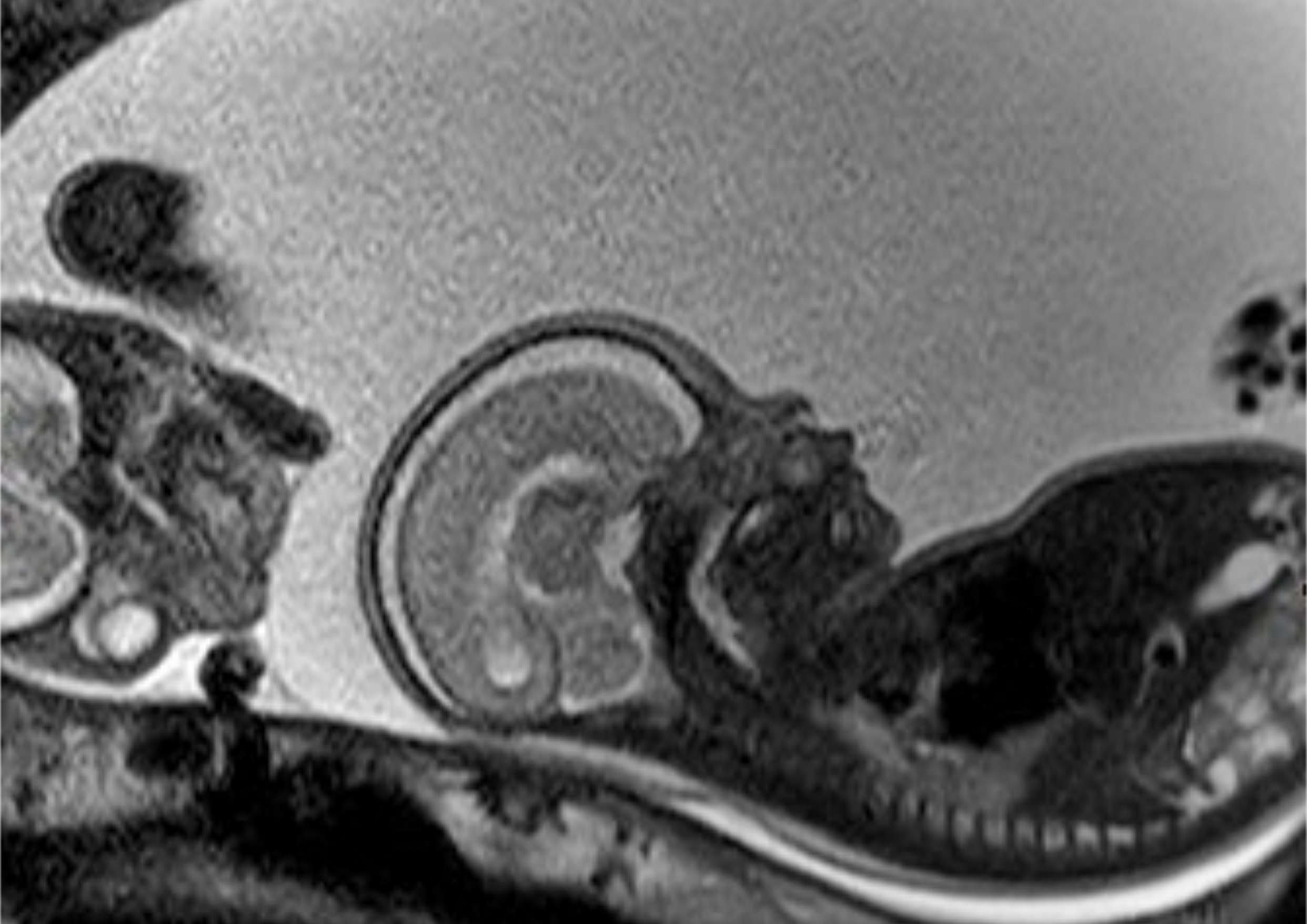 Clinpract 11 00012 g003