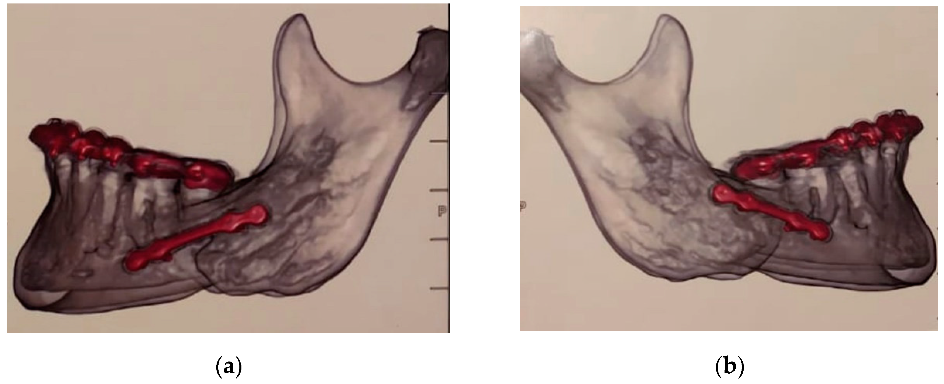 Clinpract 11 00014 g002 Clinpract 11 00014 g002