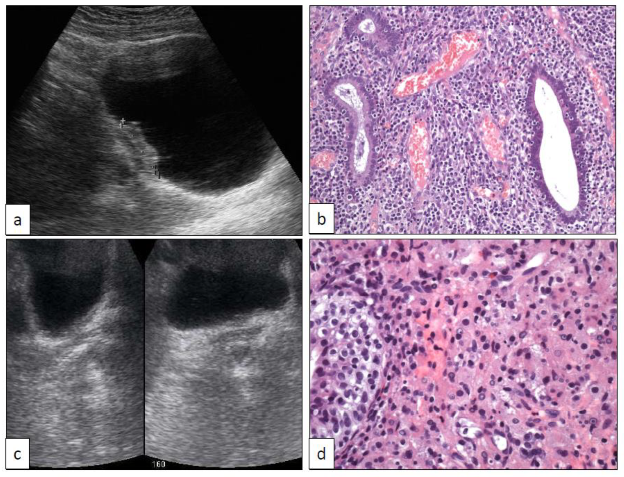 Clinpract 11 00017 g002